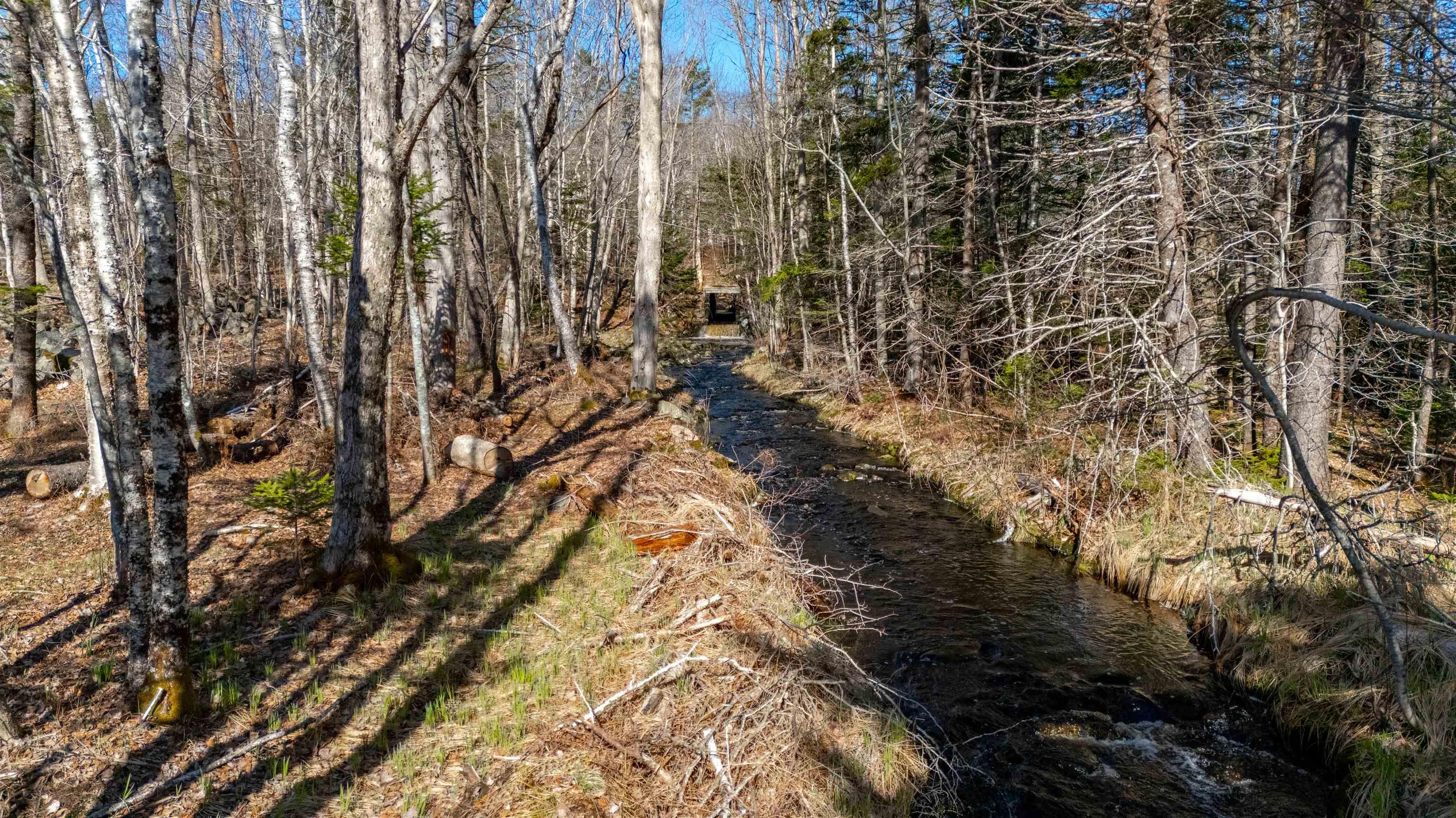 $229,900.00: 4874 Highway 340, Carleton