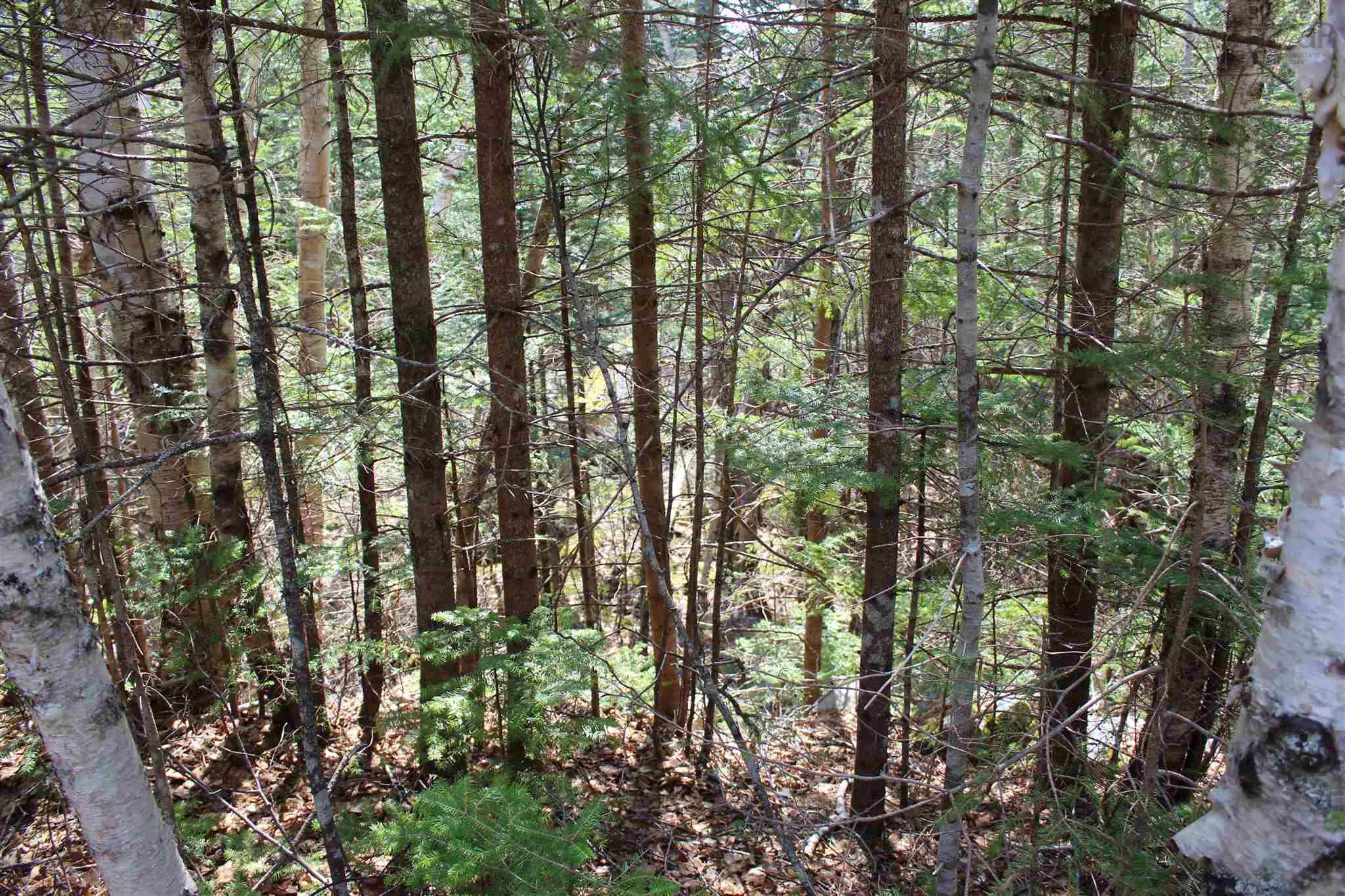 $67,500.00: 5 Big Rock, East Chester