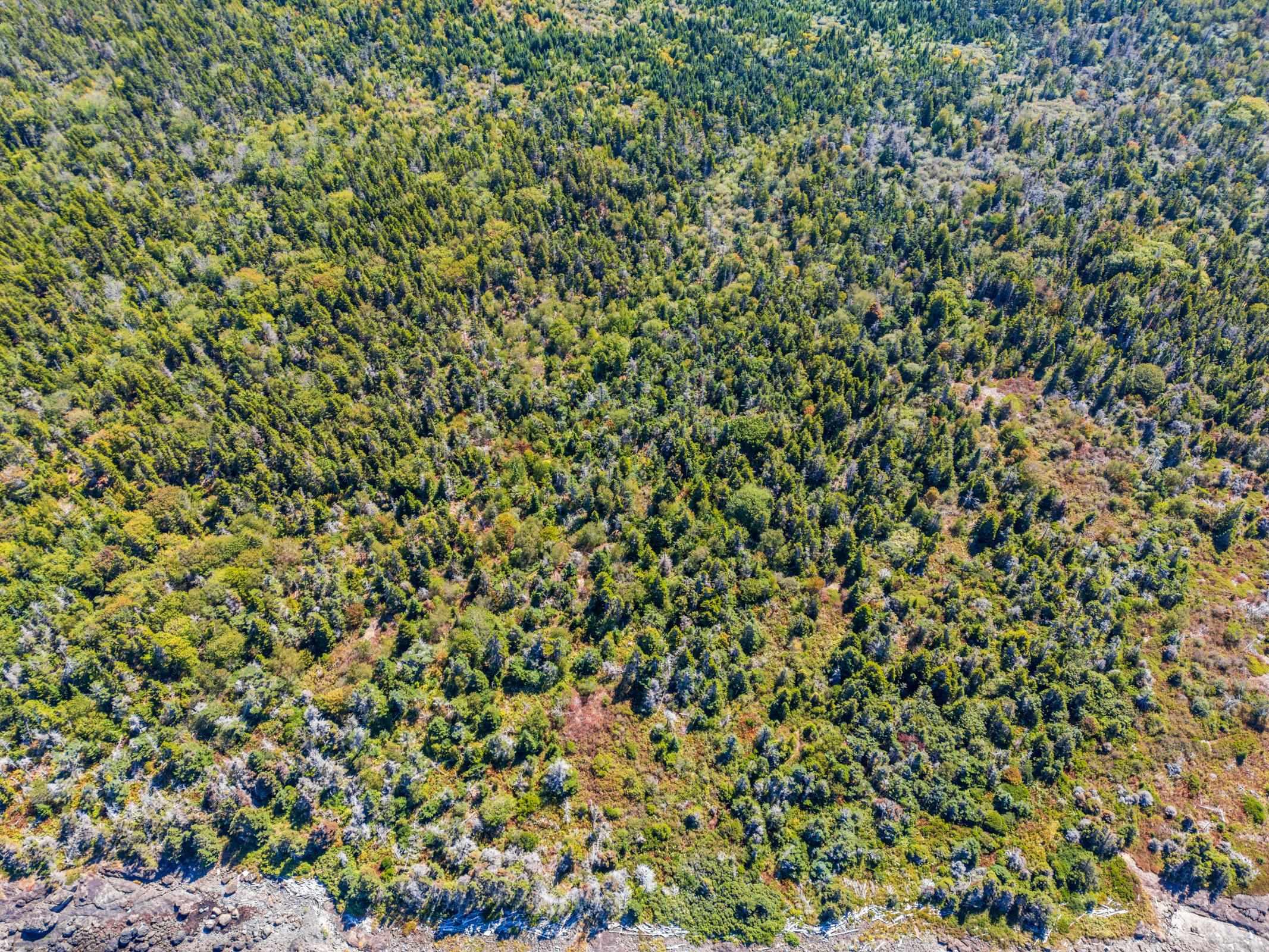 $59,000.00: Lot 1 #217 Highway, Centreville