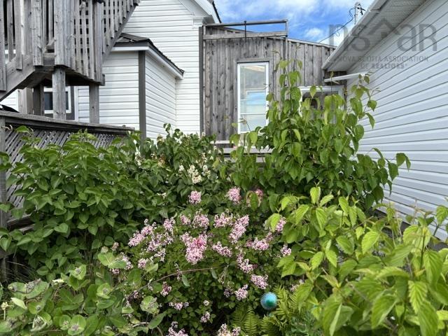 $498,000.00: 8667 Hwy 19, Port Hood