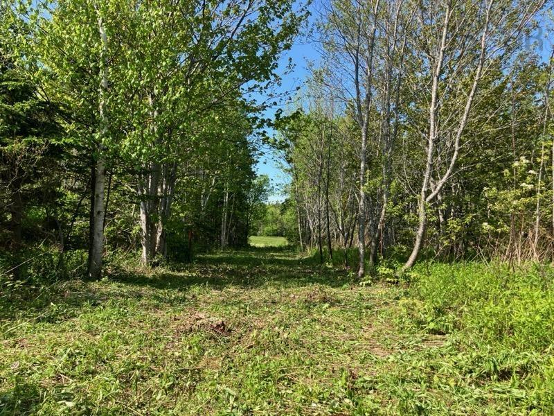 $125,000.00: Broad Cove Marsh Road, Broad Cove Chapel