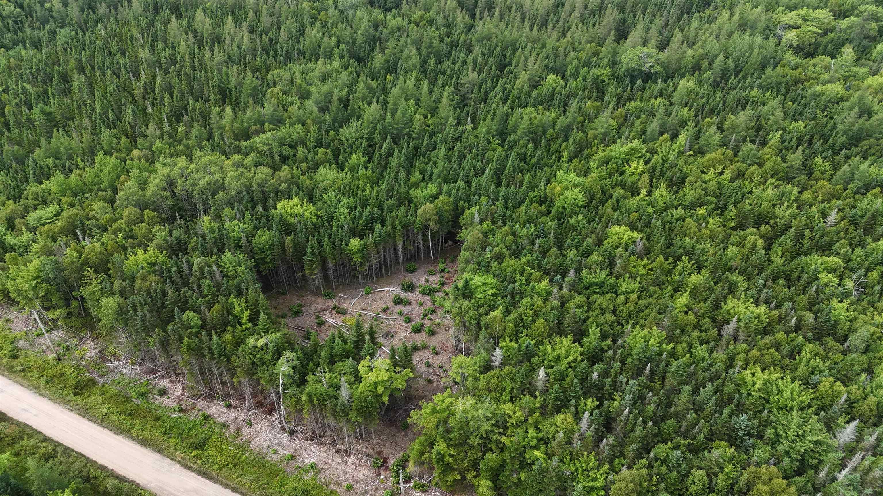 $38,000.00: Lot 4 Helmuts Lane, Cleveland
