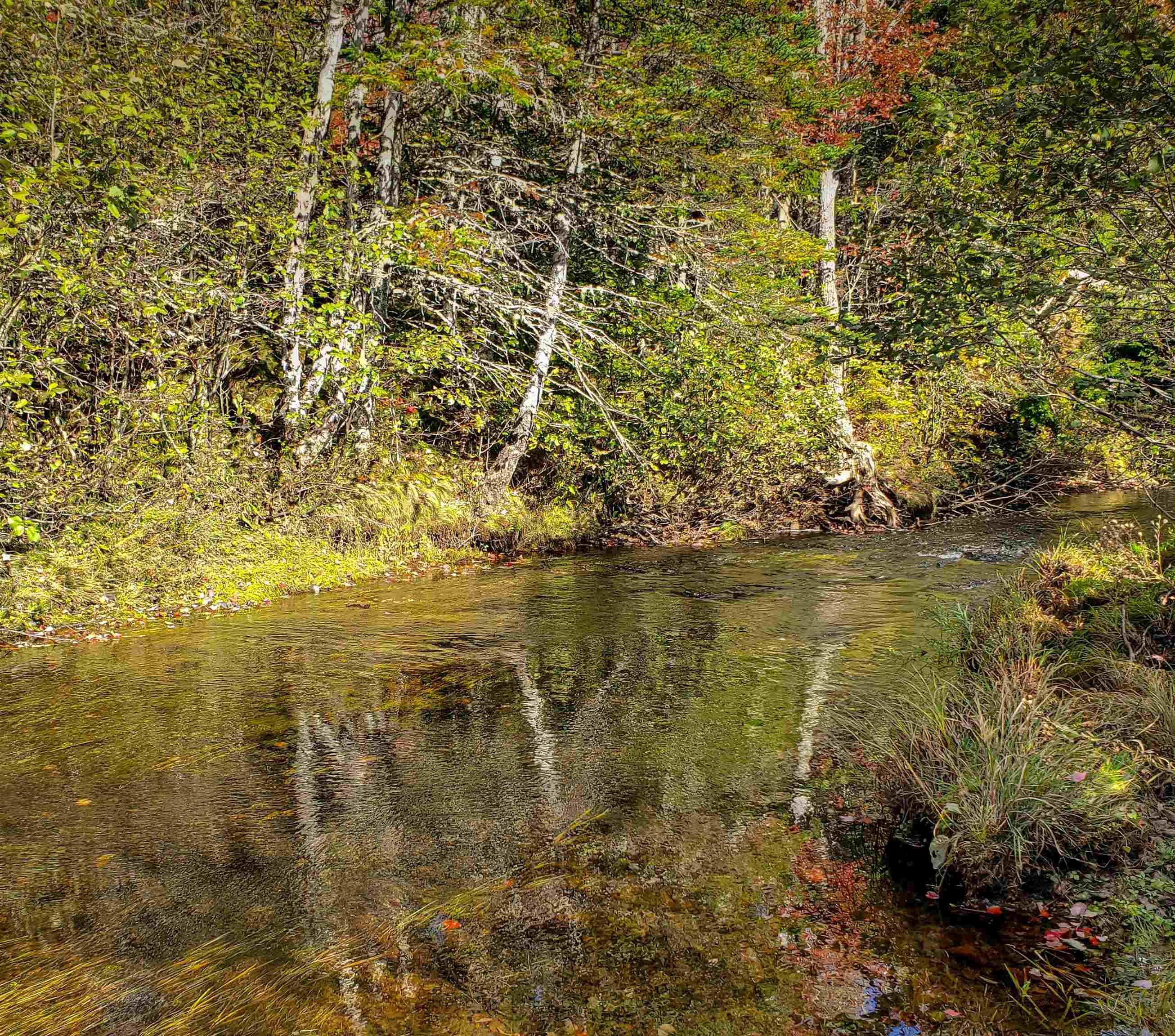 $59,900.00: LOT 22-1 Stewiacke Road, South Branch