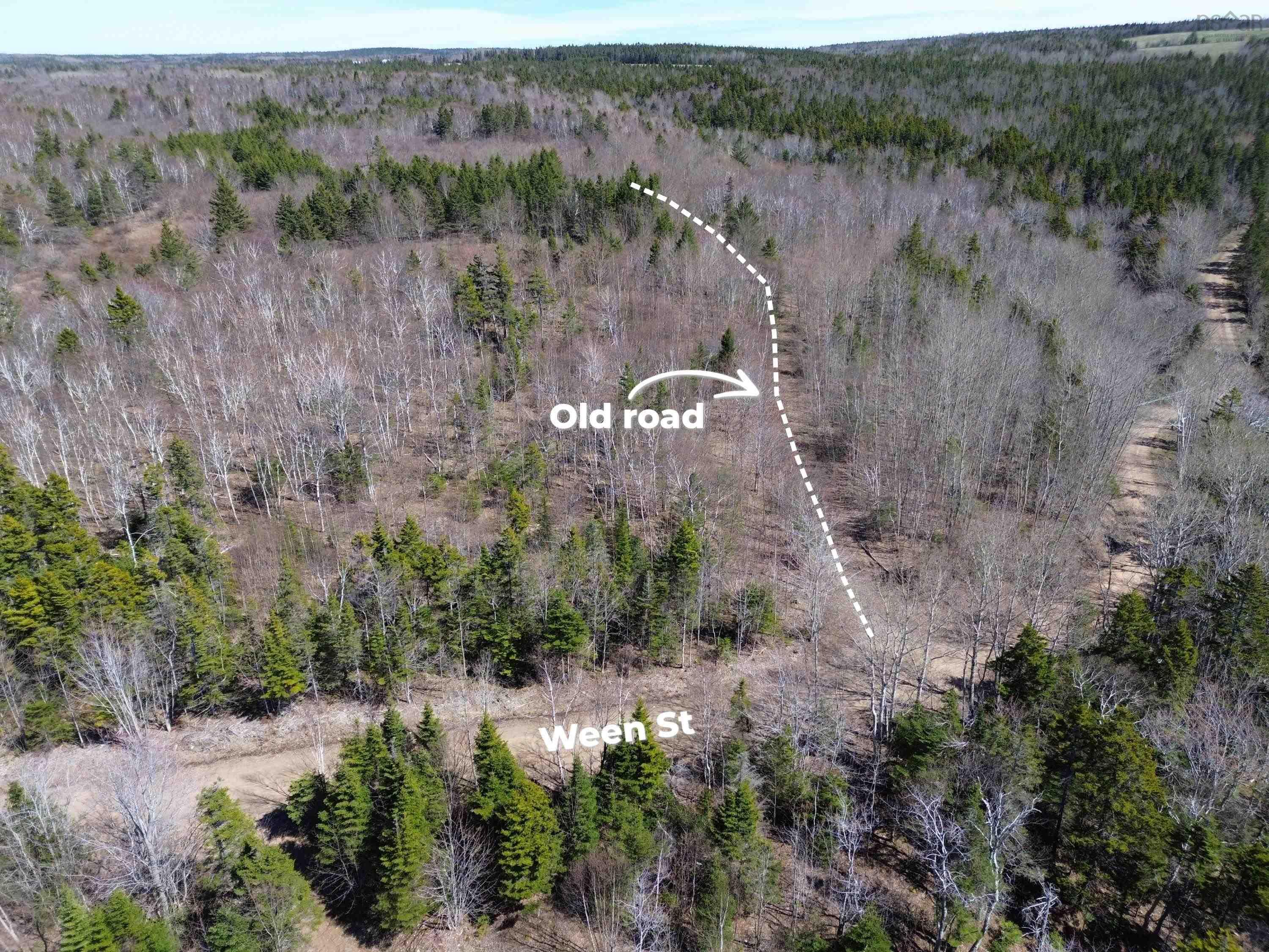 $175,000.00: Lot Ween Street, Mount Hanley