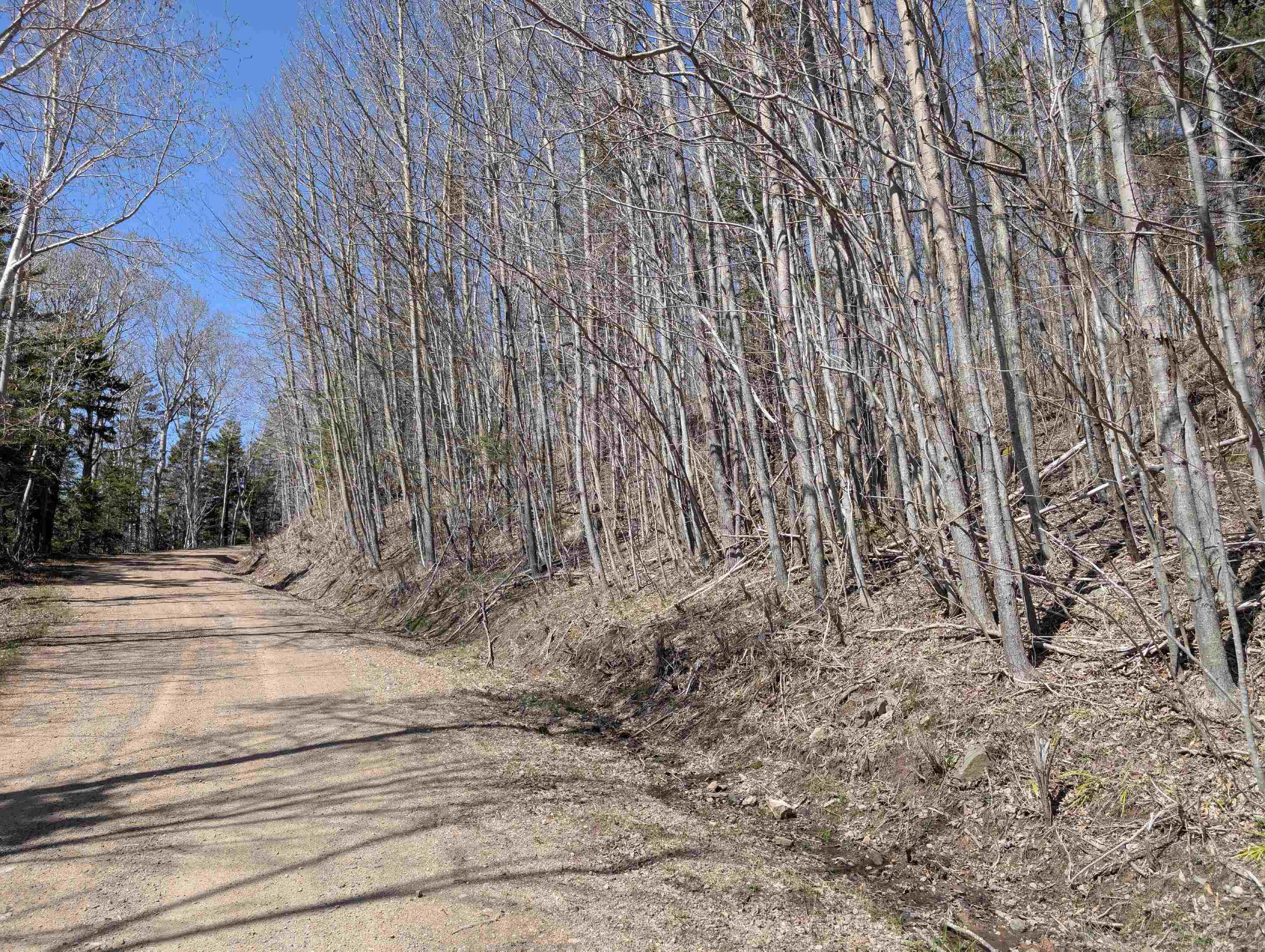$175,000.00: Lot Ween Street, Mount Hanley