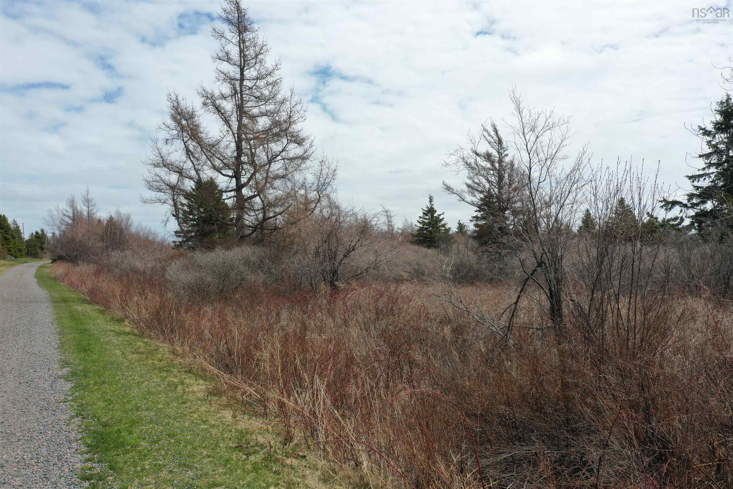$119,000.00: Lot 33 Malagash Road, Malagash Point
