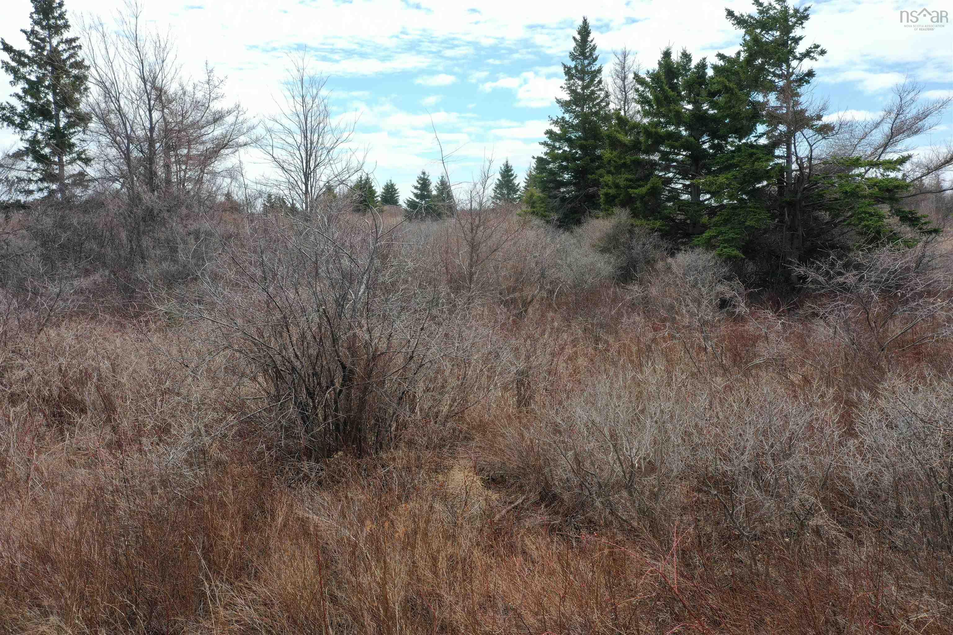 $119,000.00: Lot 33 Malagash Road, Malagash Point