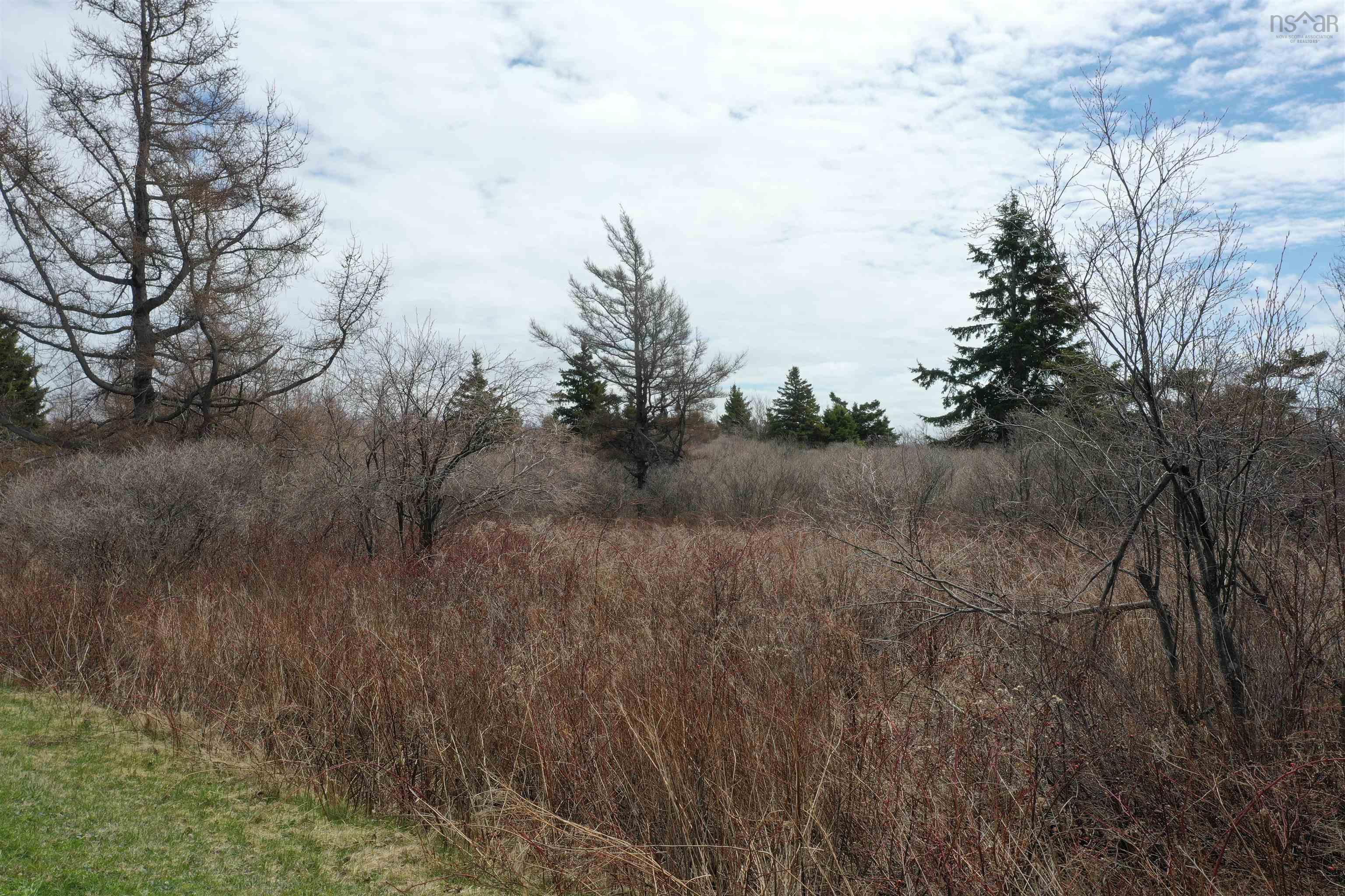 $119,000.00: Lot 33 Malagash Road, Malagash Point