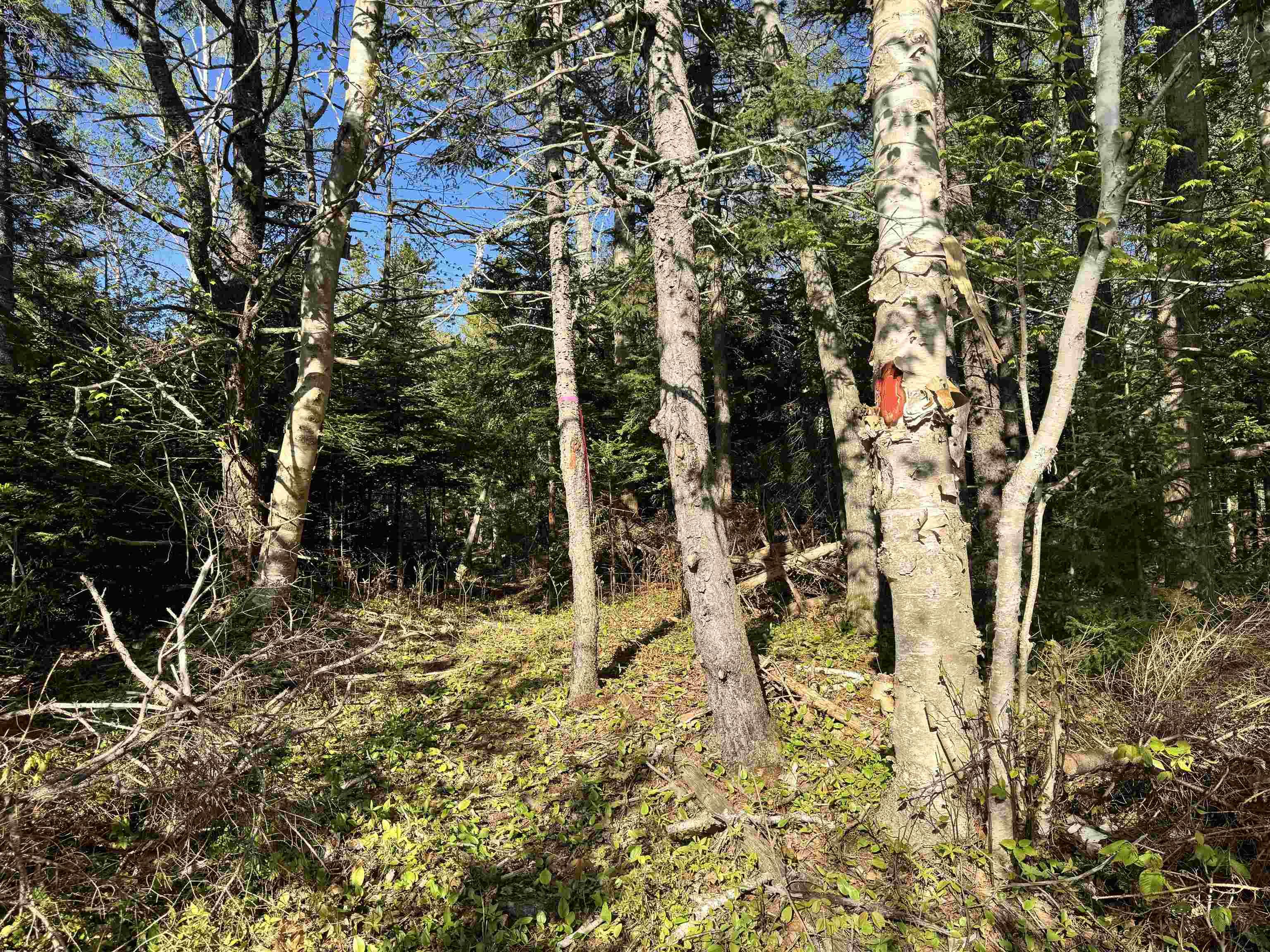 $43,900.00: 24-1 Forest Drive Extension, Pictou