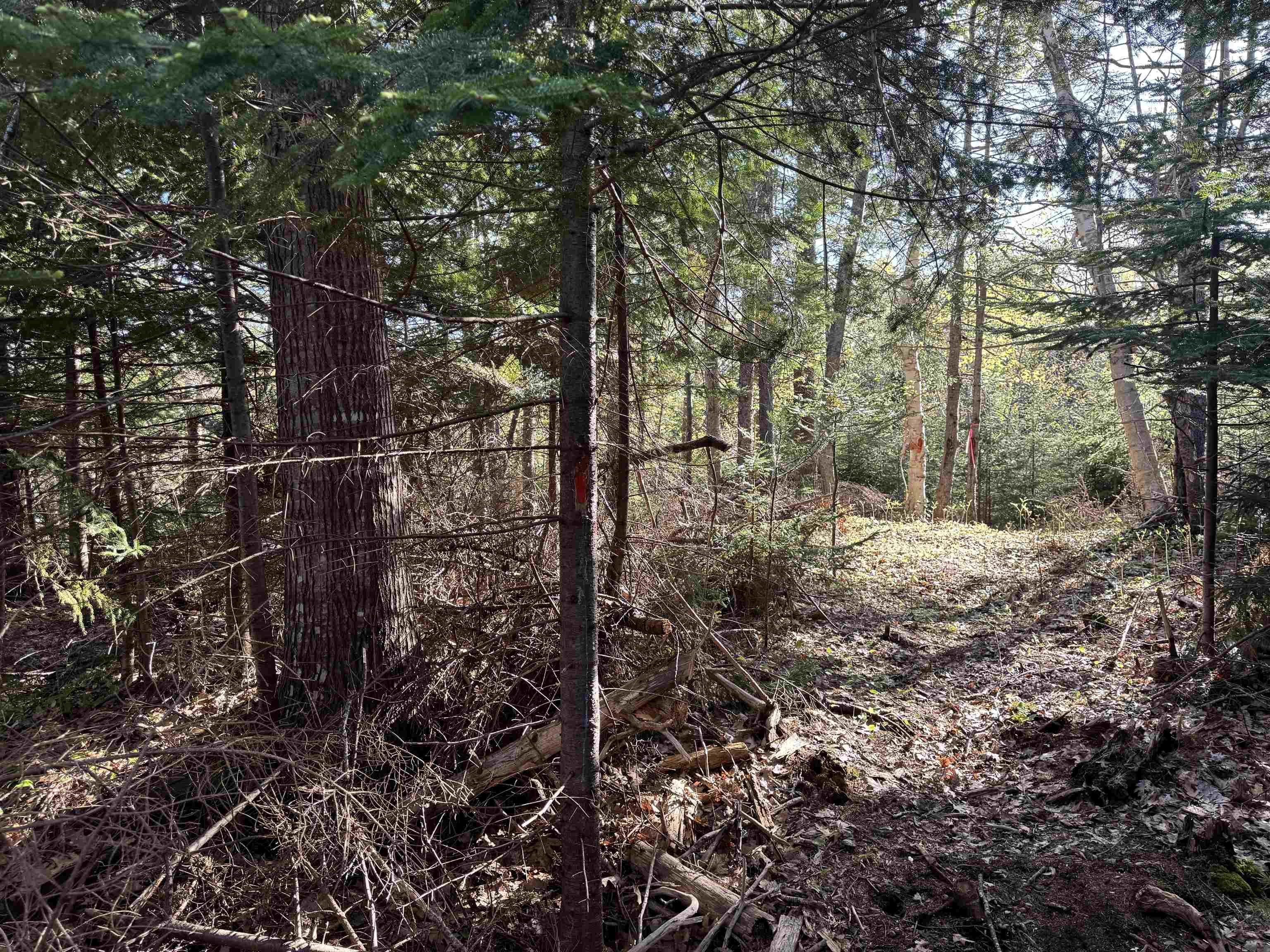 $43,900.00: 24-1 Forest Drive Extension, Pictou