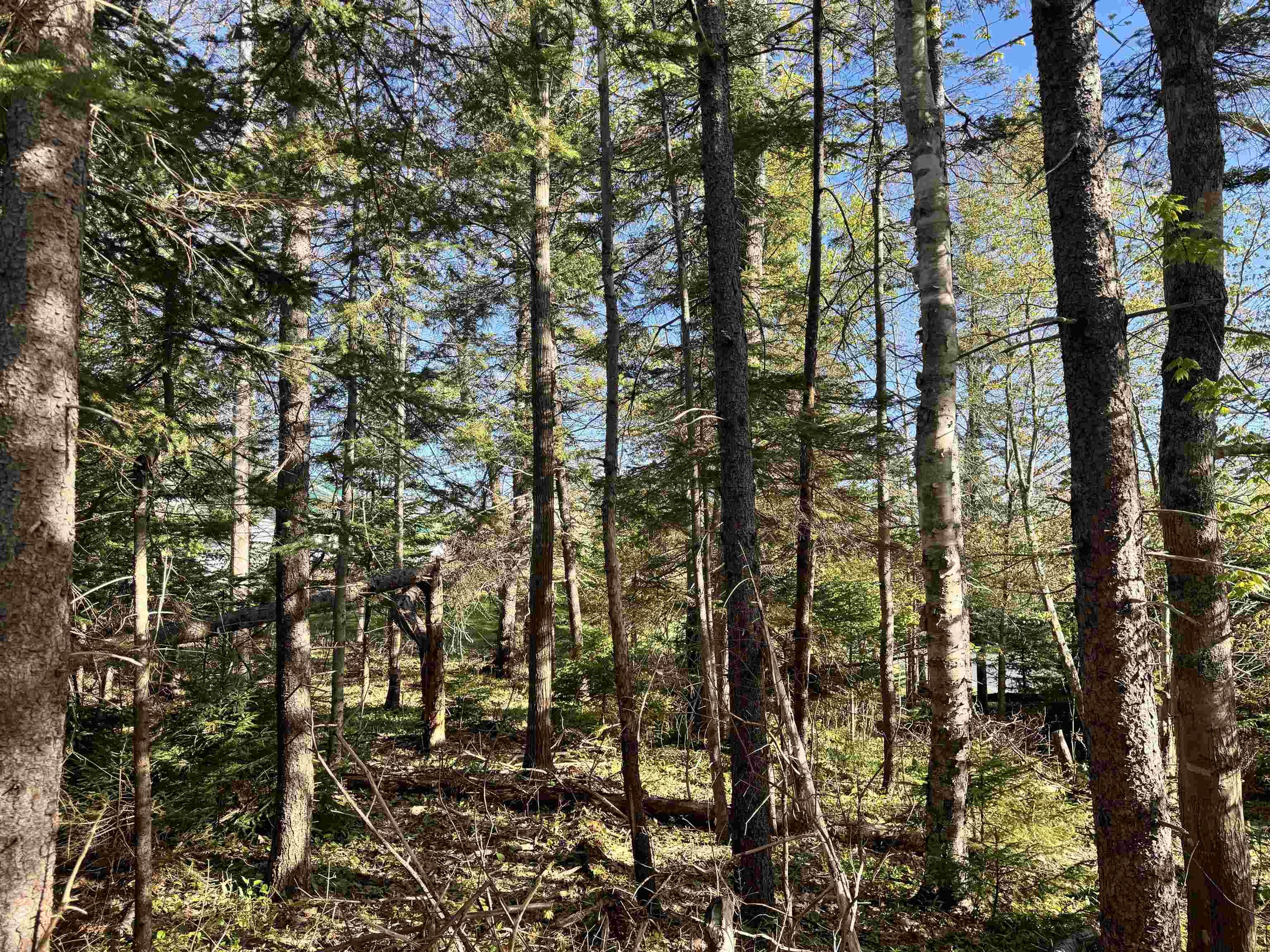 $43,900.00: 24-1 Forest Drive Extension, Pictou