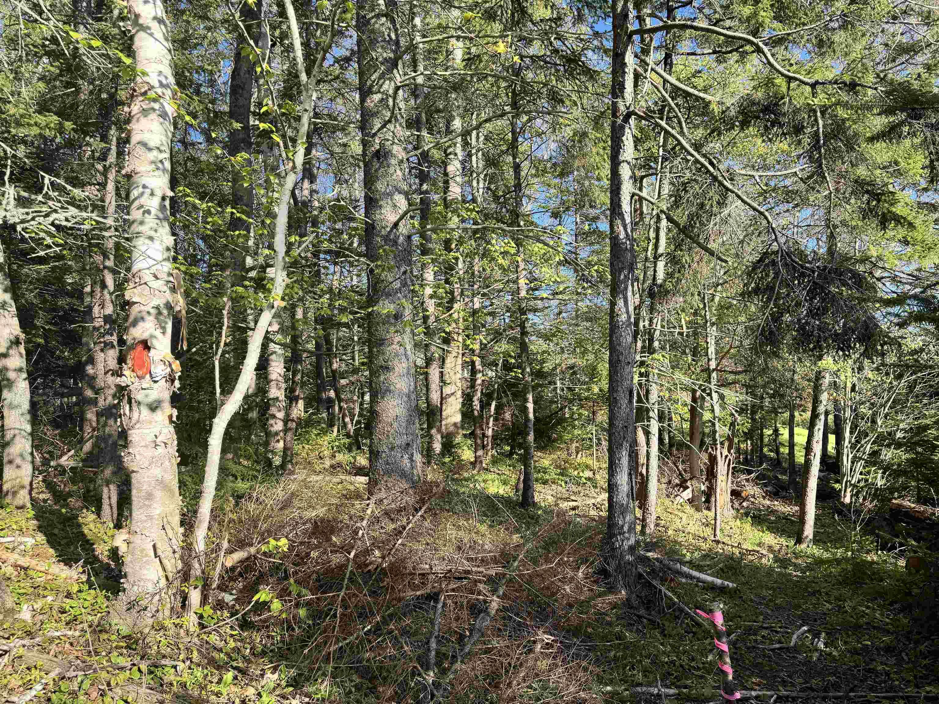 $43,900.00: 24-2 Forest Drive Extension, Pictou