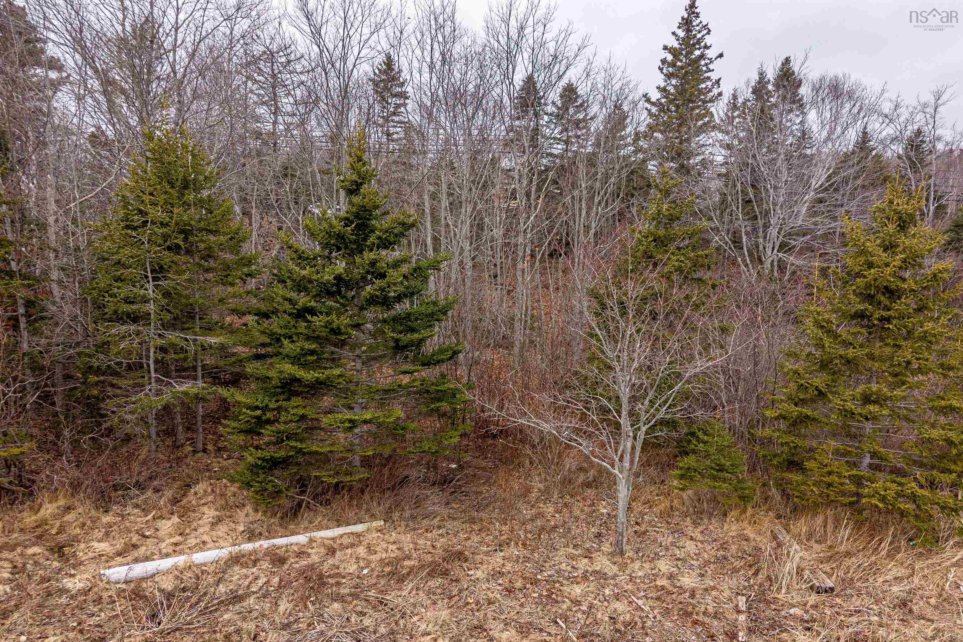 Lot W4 No 3 Hwy Head of St Margarets Bay, St Margaret's Bay, NS (MLS 202609537)