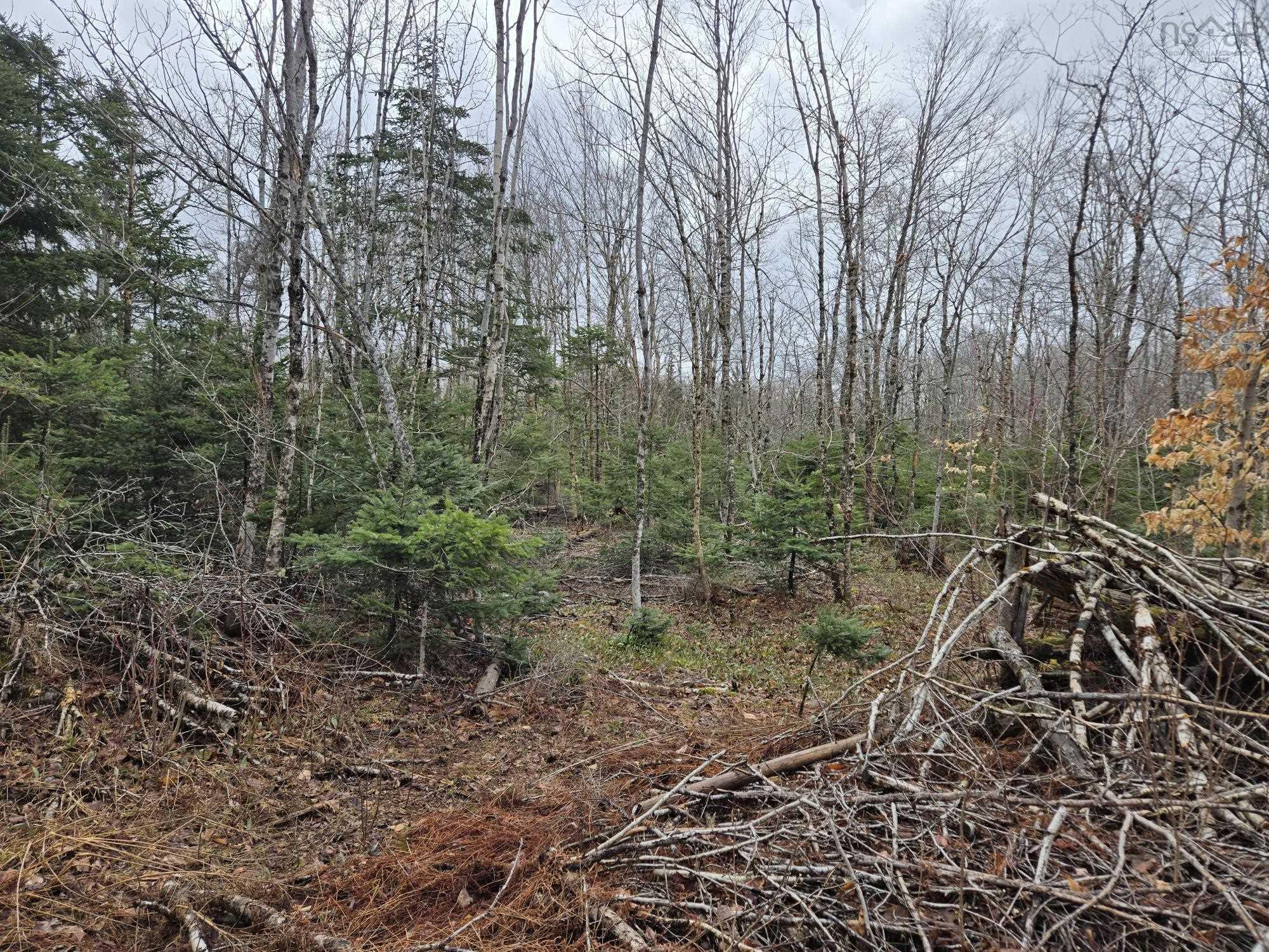 $32,500.00: Lot 4A KEMPTOWN Road, Kemptown