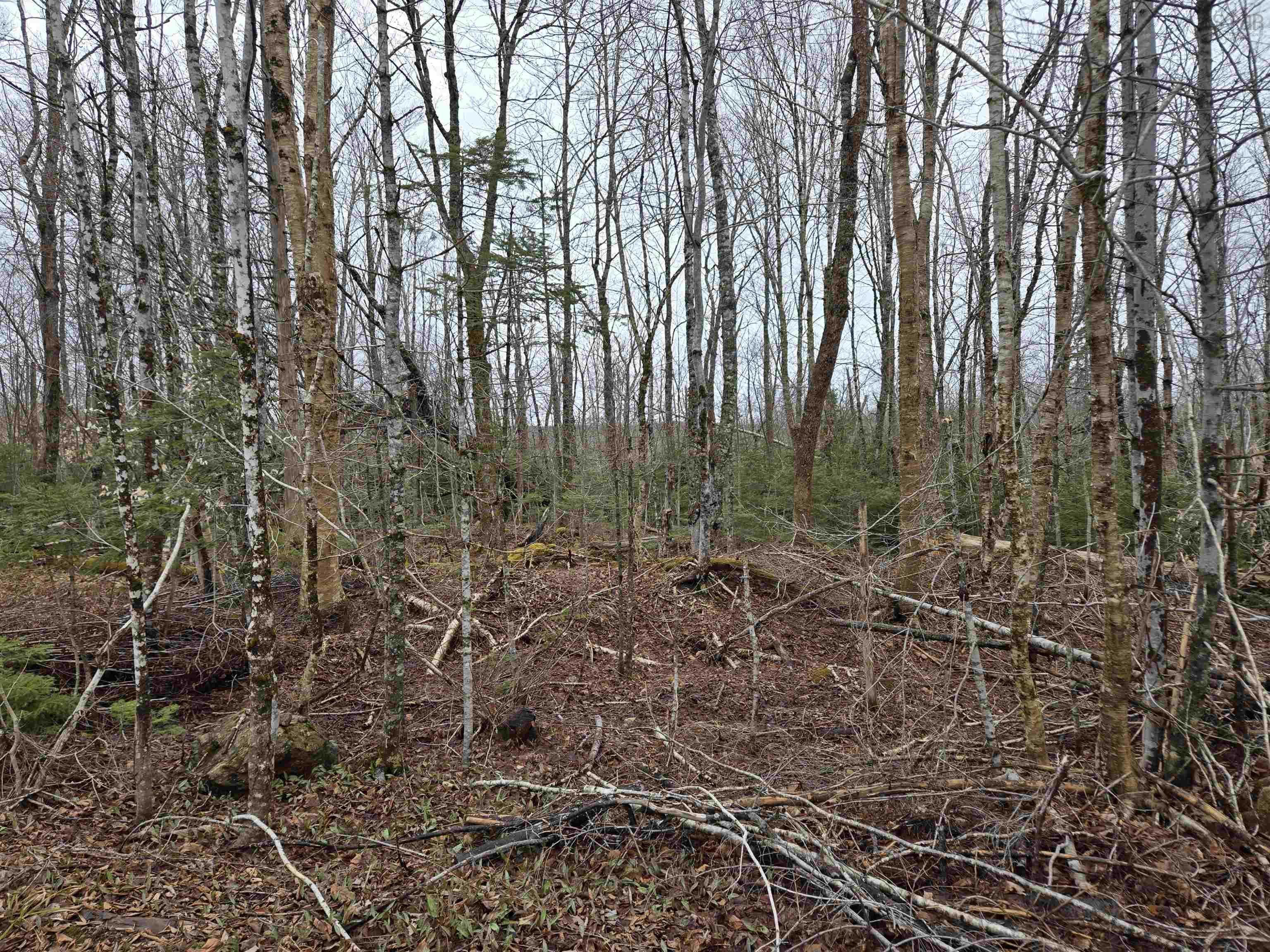 $32,500.00: Lot 4A KEMPTOWN Road, Kemptown