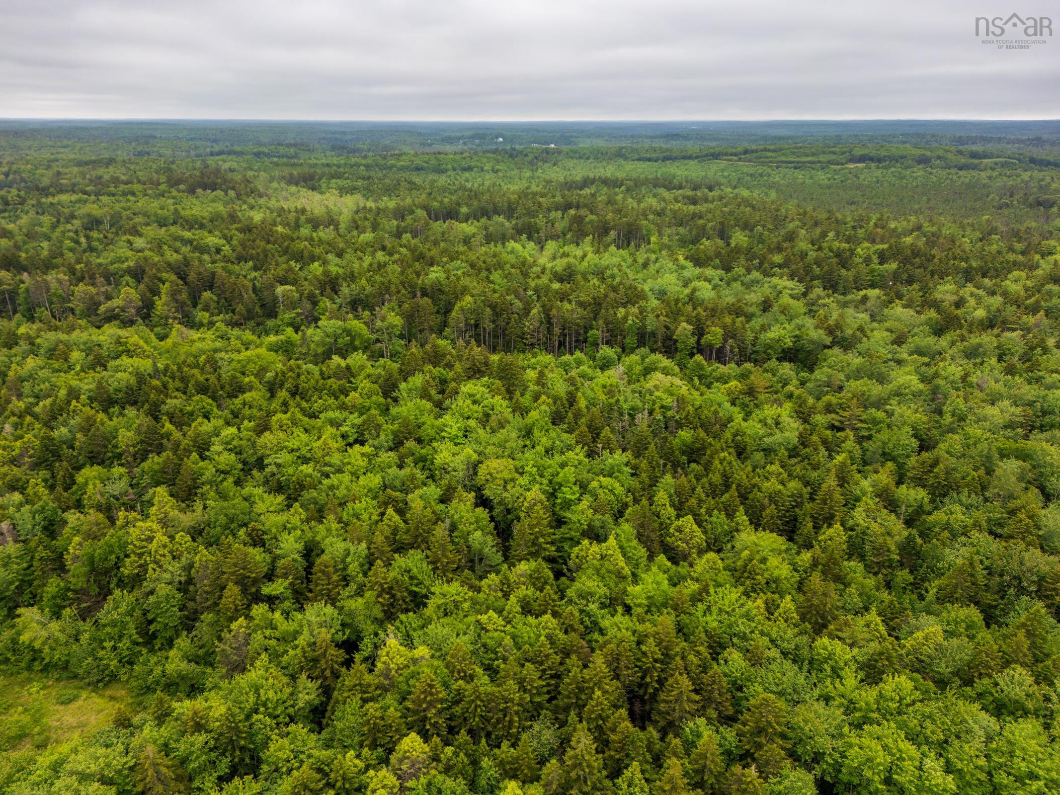 $174,999.00: Lots Isadore Thibeau Road, Havelock
