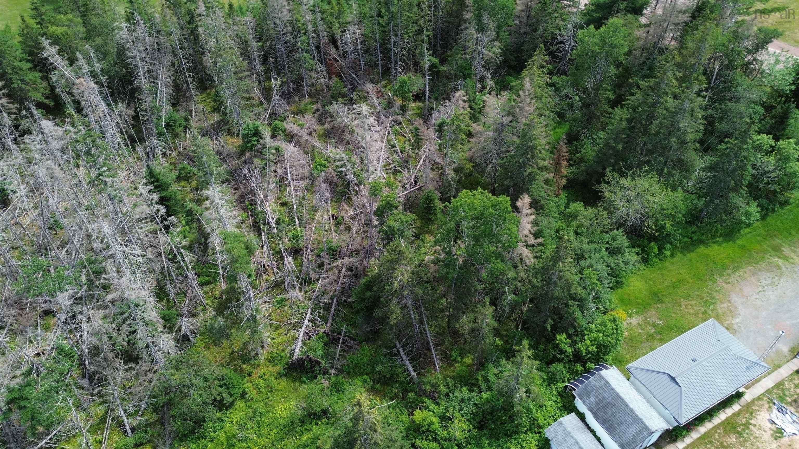 $345,000.00: 2842 HIGHWAY 311, Upper North River