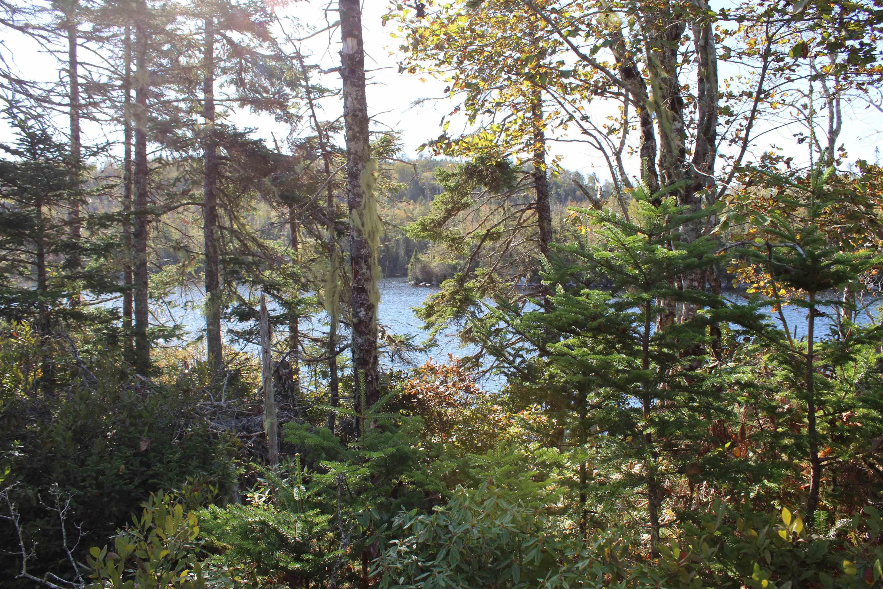 $339,000.00: LOT 13 DARIUS Lane, Musquodoboit Harbour