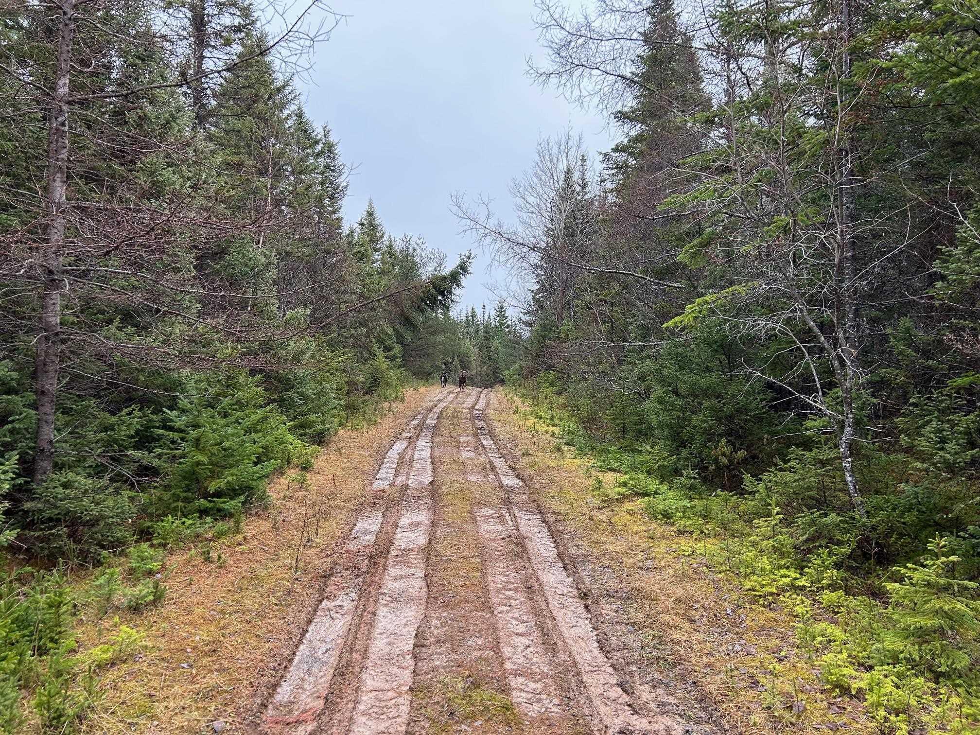 $99,900.00: Red Point Road, Red Point