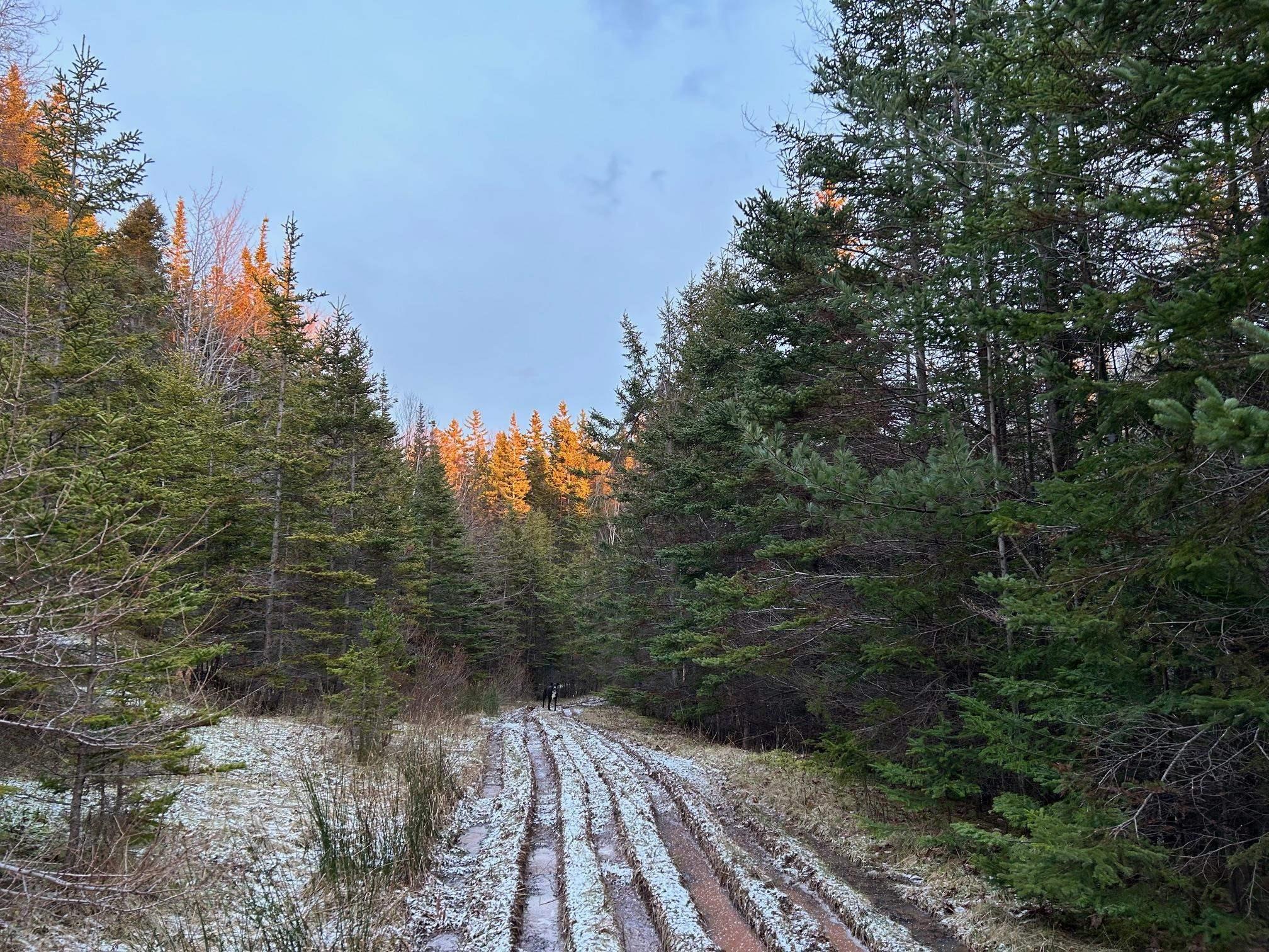 $99,900.00: Red Point Road, Red Point