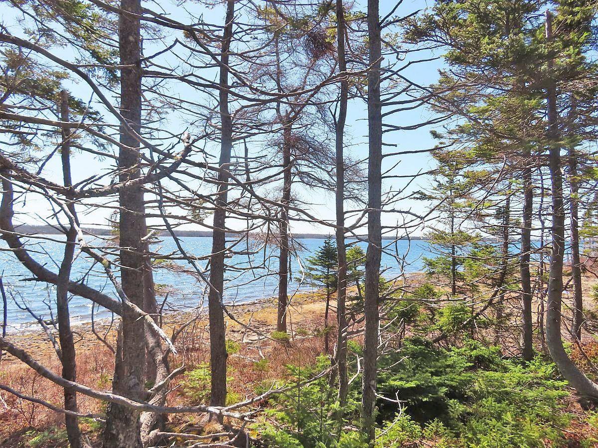 $425,000.00: 76 Acres Perry Lane, Lennox Passage
