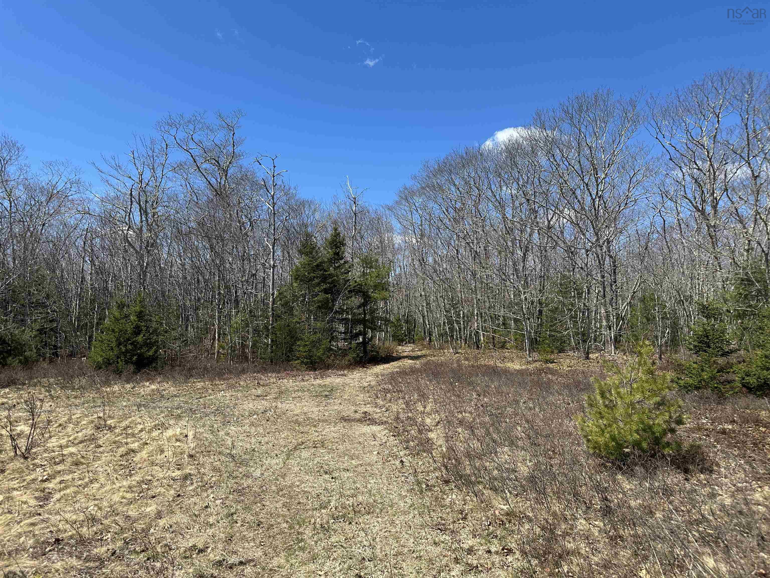 $240,000.00: 5324 Highway 3, White Point