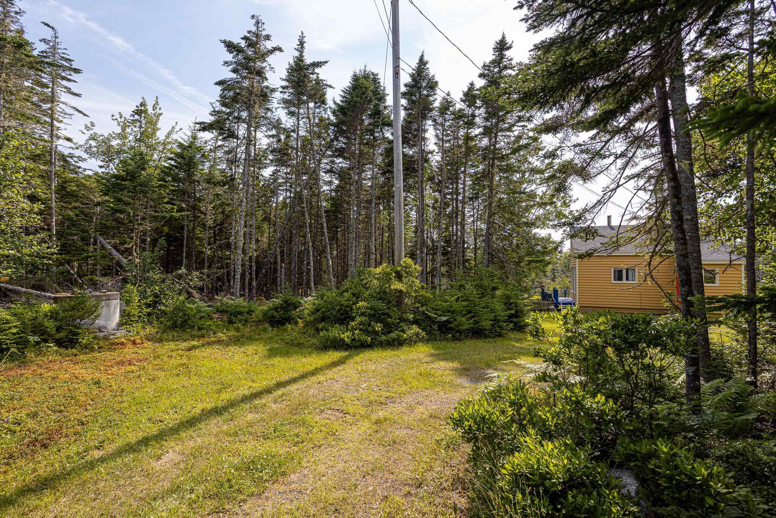 80 Paddy's Head Road, Indian Harbour, NS (MLS 202609636)