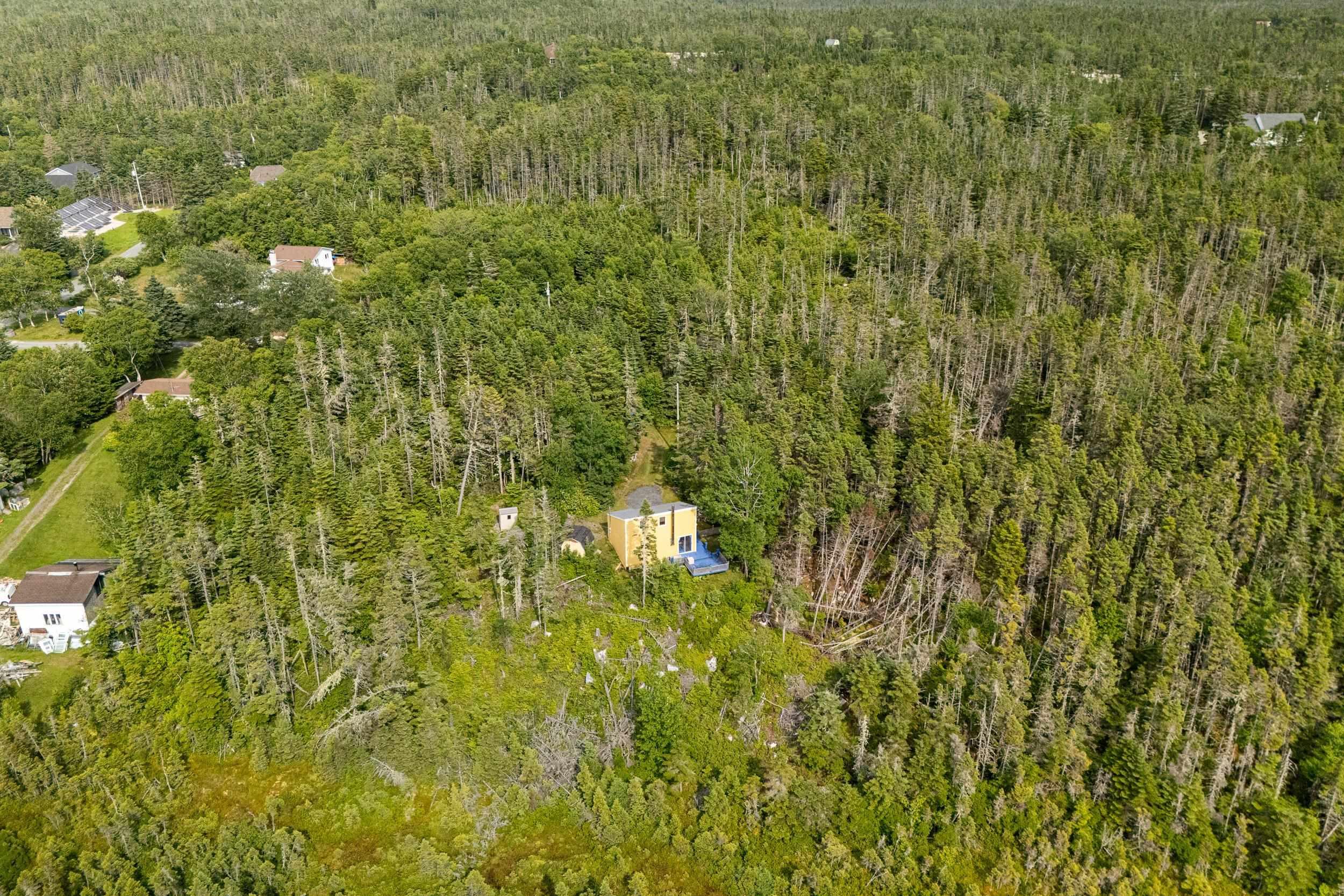 80 Paddy's Head Road, Indian Harbour, NS (MLS 202609636)