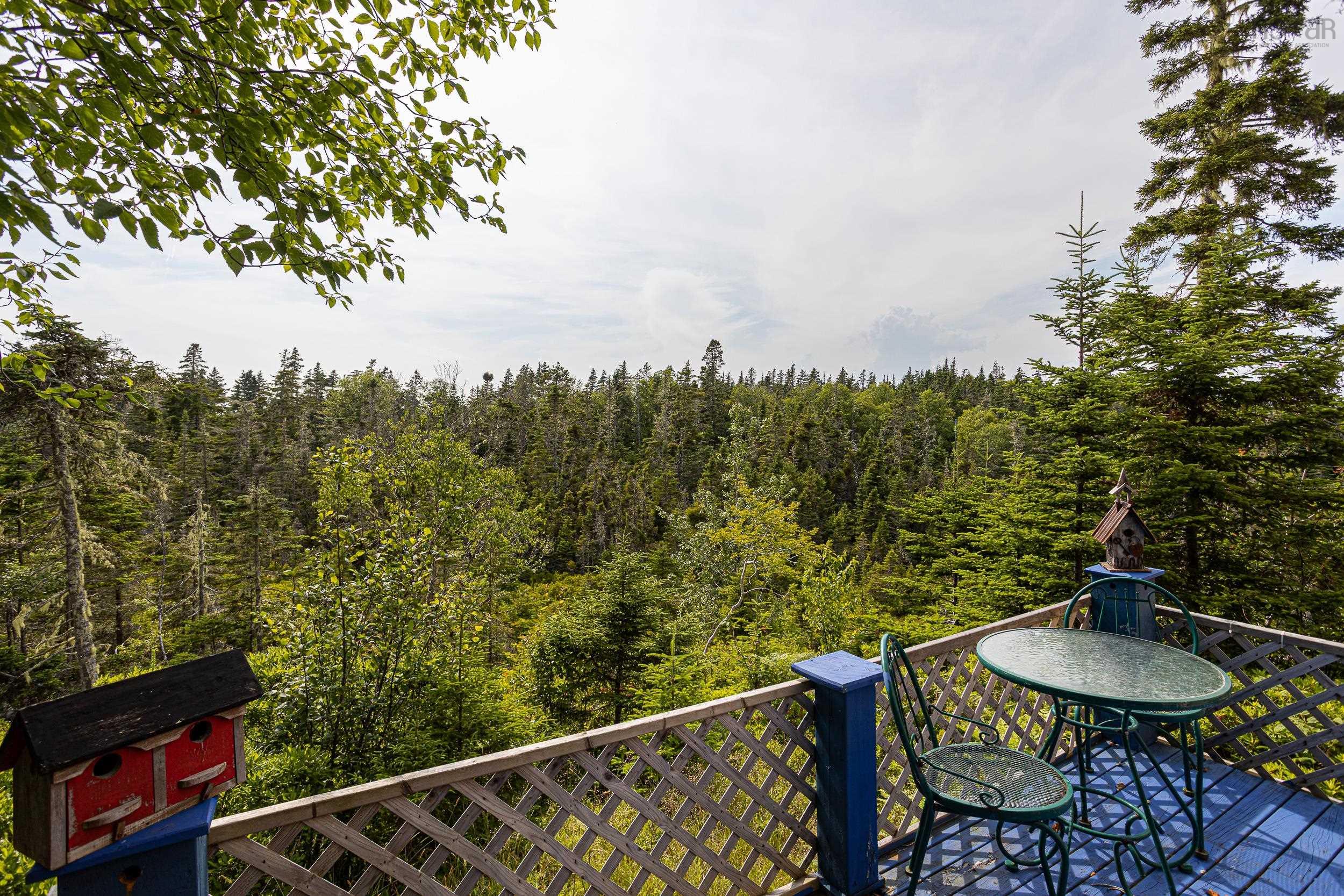 80 Paddy's Head Road, Indian Harbour, NS (MLS 202609636)