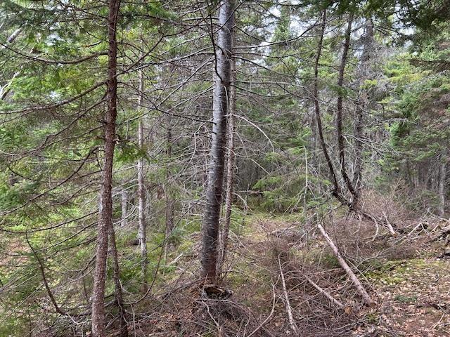 $100,000.00: Cabot Trail, Indian Brook