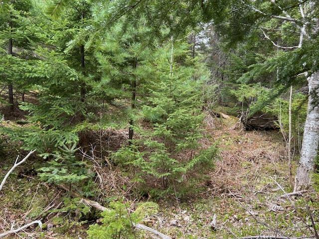 $100,000.00: Cabot Trail, Indian Brook