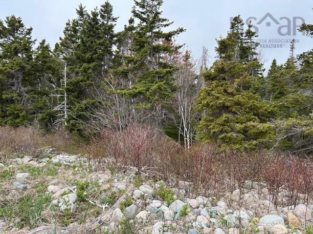 $100,000.00: Cabot Trail, Indian Brook