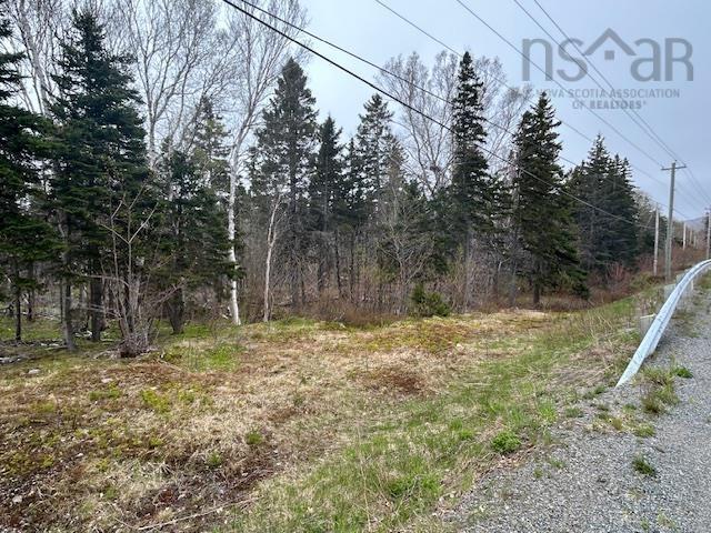$100,000.00: Cabot Trail, Indian Brook