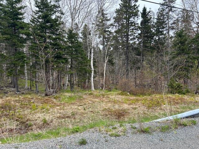 $100,000.00: Cabot Trail, Indian Brook