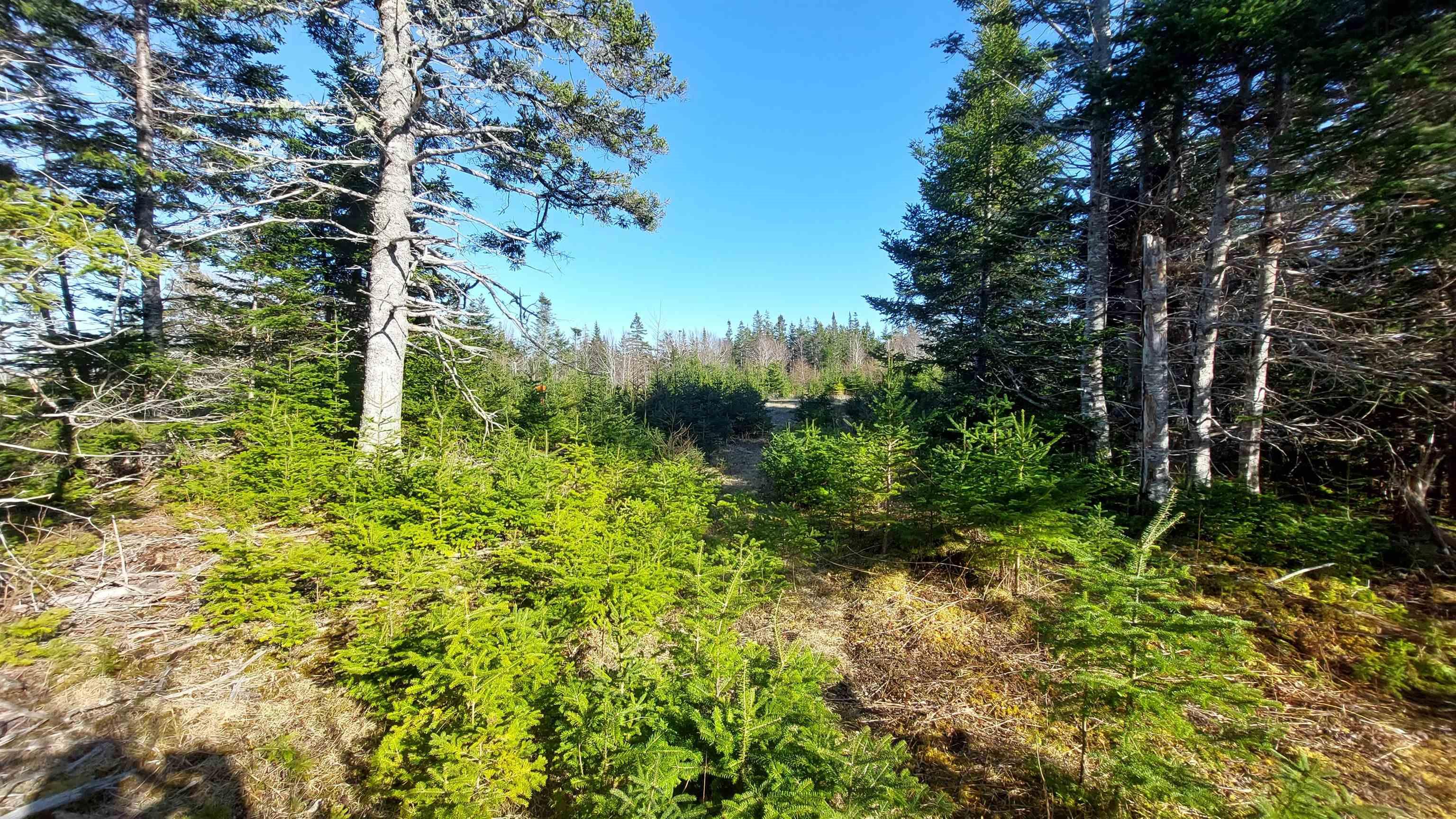 $149,000.00: Lot 74-75 Peter Sosna Dr, Hay Cove