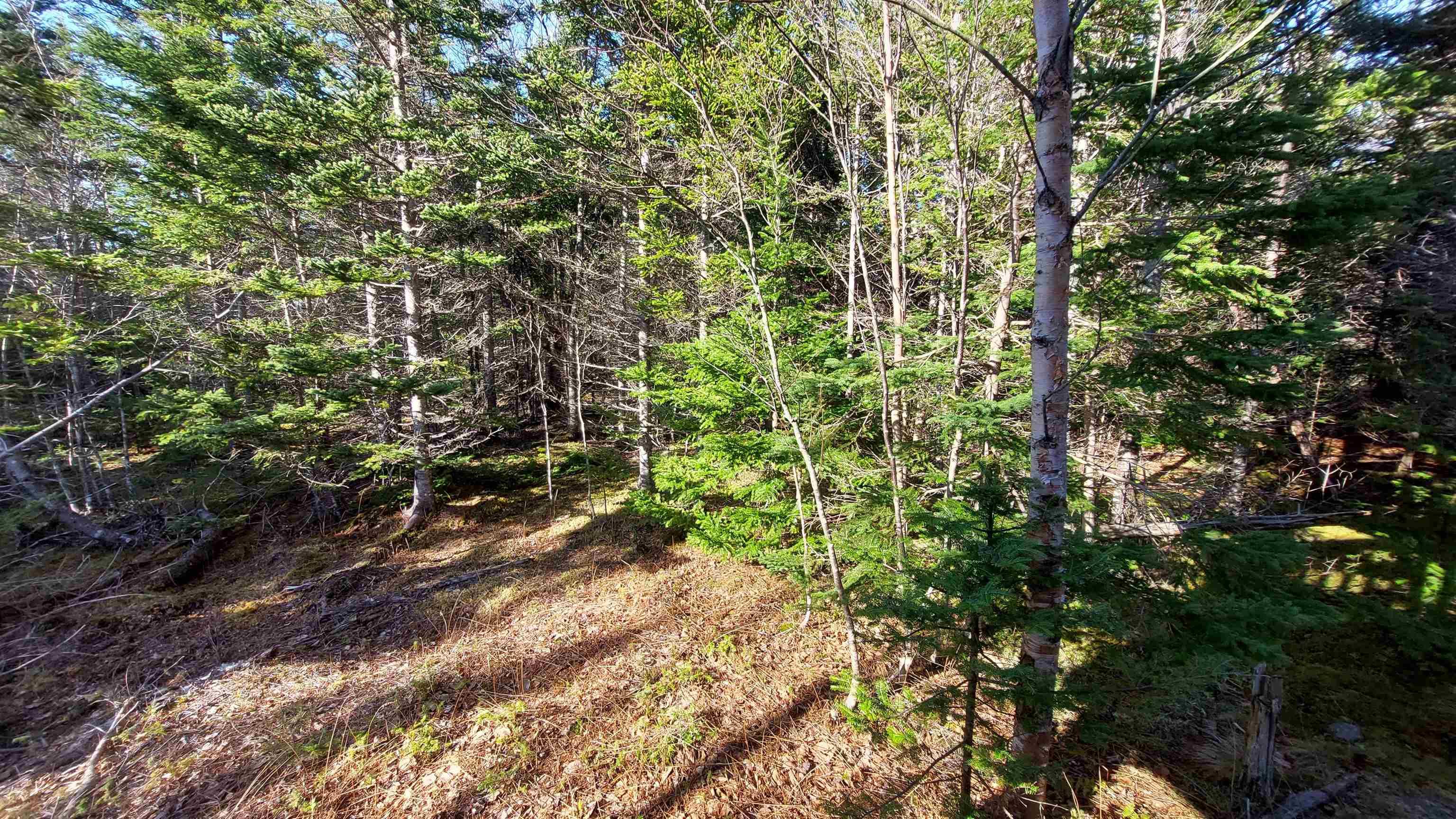 $149,000.00: Lot 74-75 Peter Sosna Dr, Hay Cove