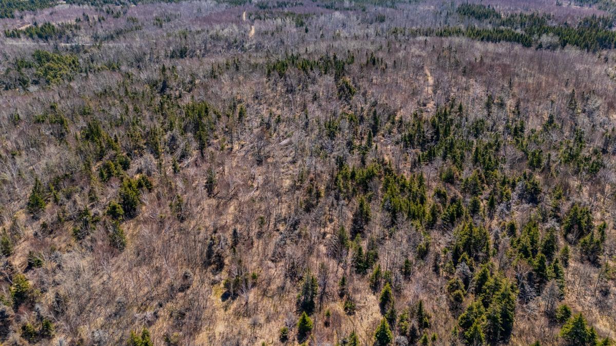 $149,900.00: Lot A No 245 Highway, McArras Brook