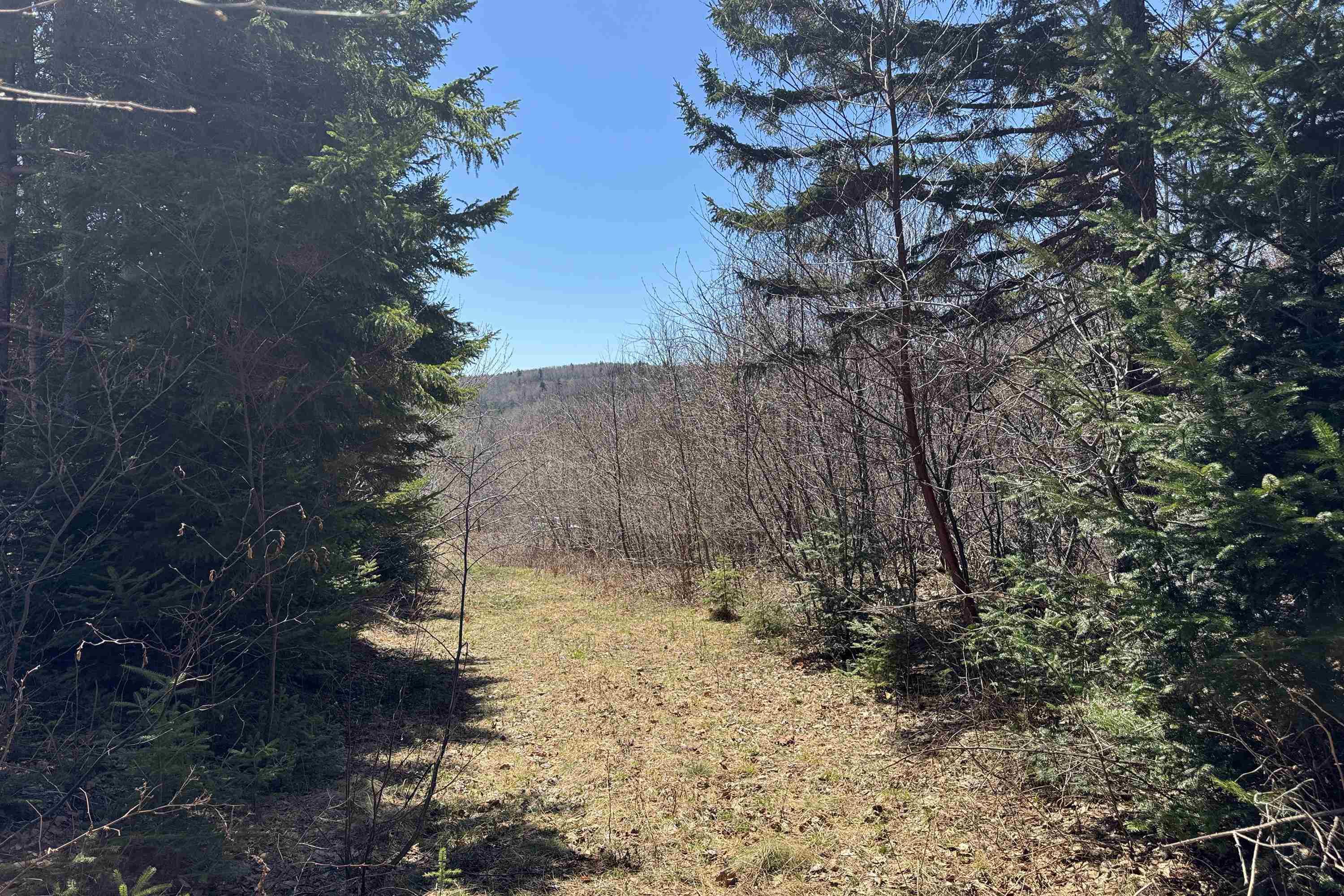 $59,000.00: Vacant Land Lynn Road, Lower Five Islands