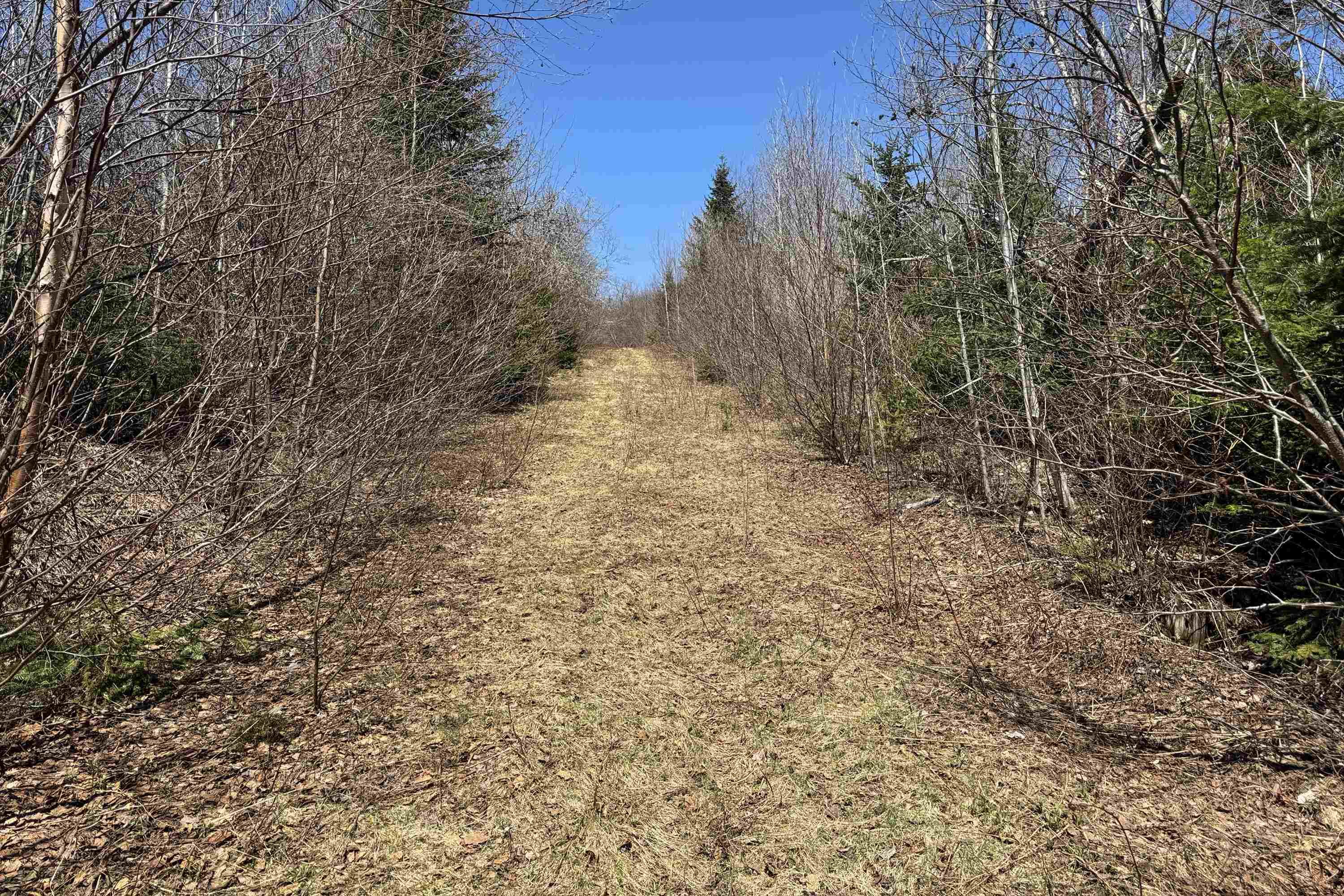 $59,000.00: Vacant Land Lynn Road, Lower Five Islands