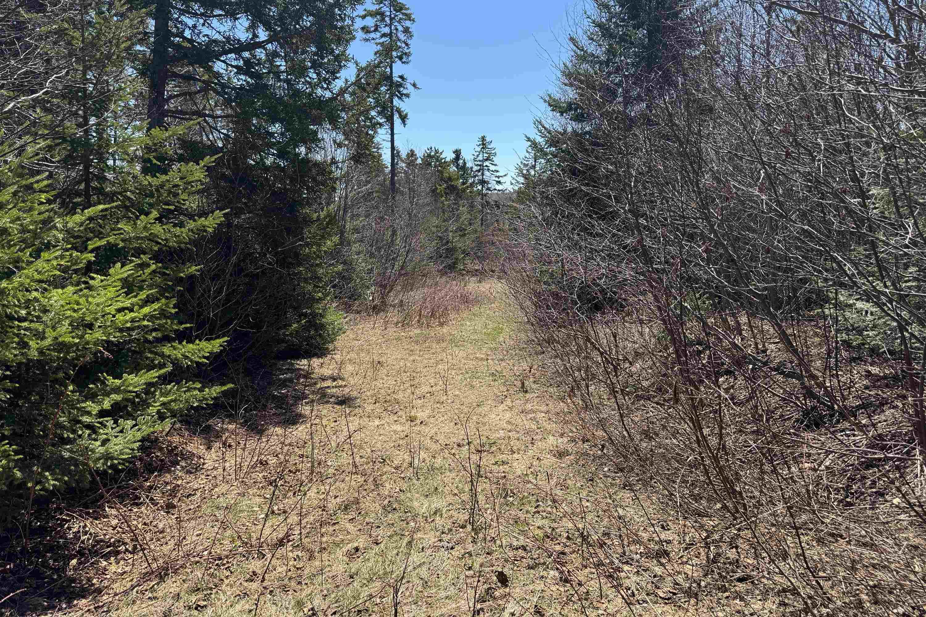 $59,000.00: Vacant Land Lynn Road, Lower Five Islands