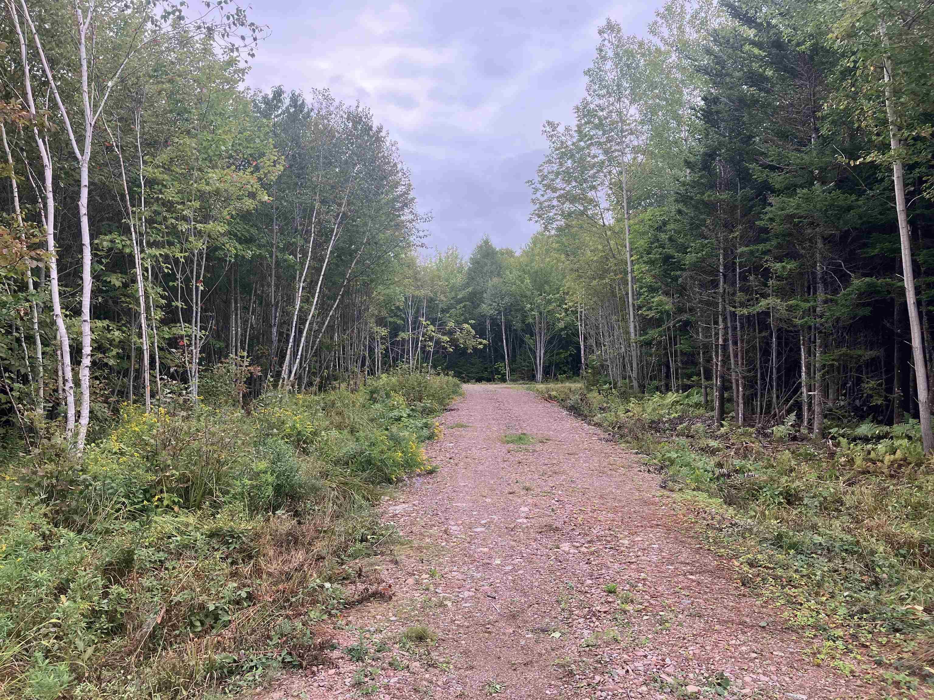 $54,000.00: Lot 2020-5 Highway 223, Little Narrows