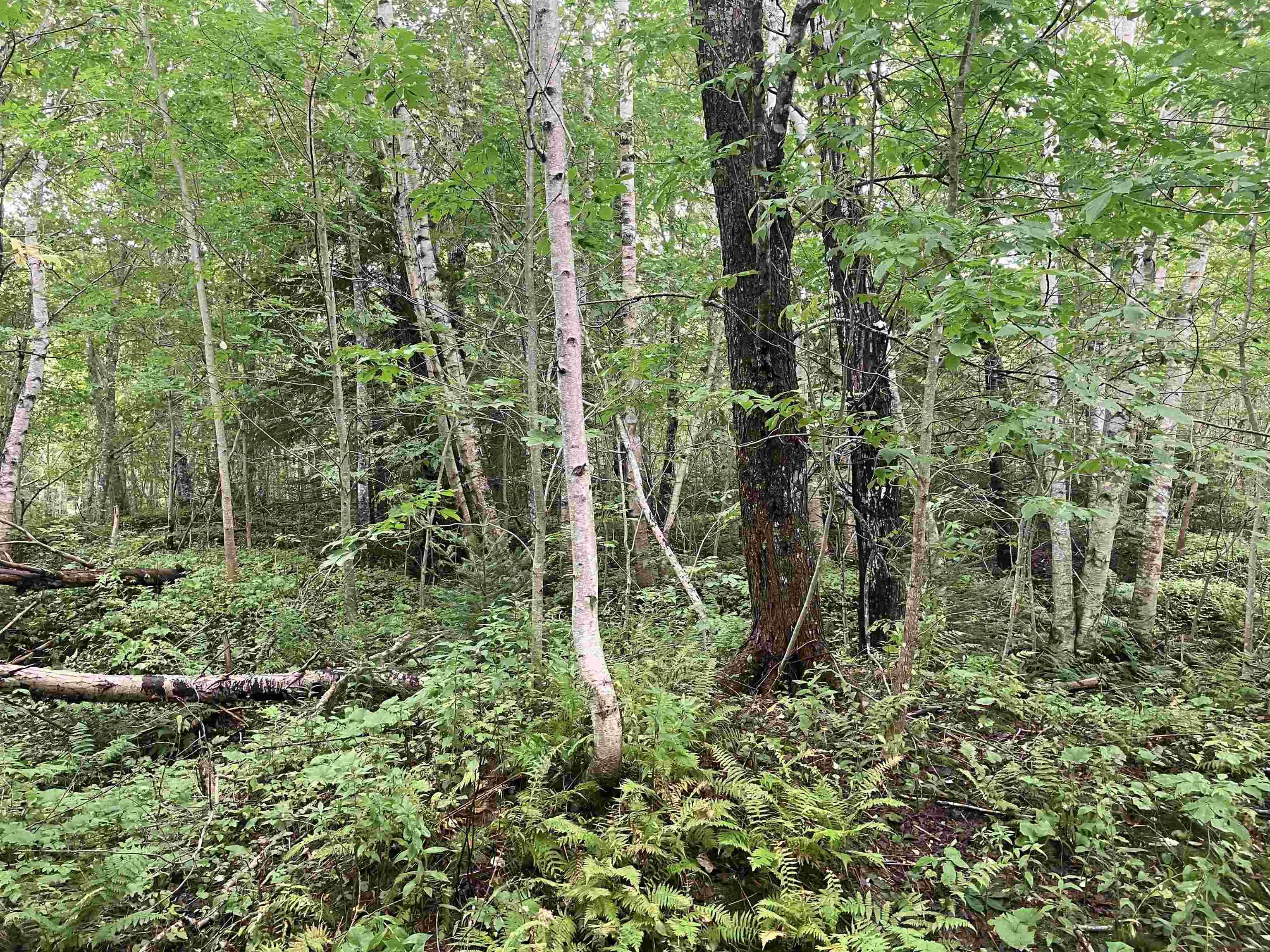 $54,000.00: Lot 2020-5 Highway 223, Little Narrows