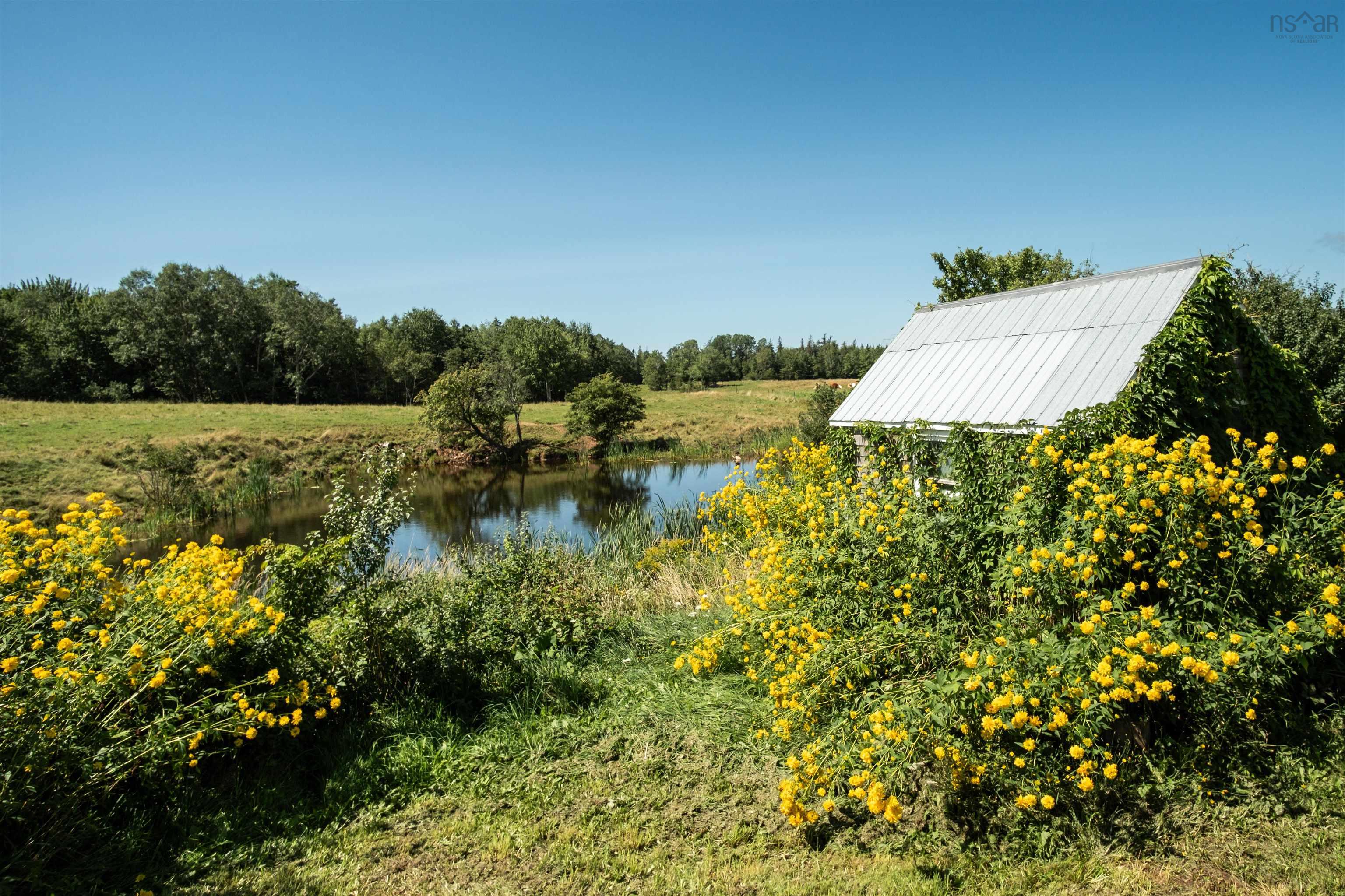 $970,000.00: 166 Rankinville Road, Mabou