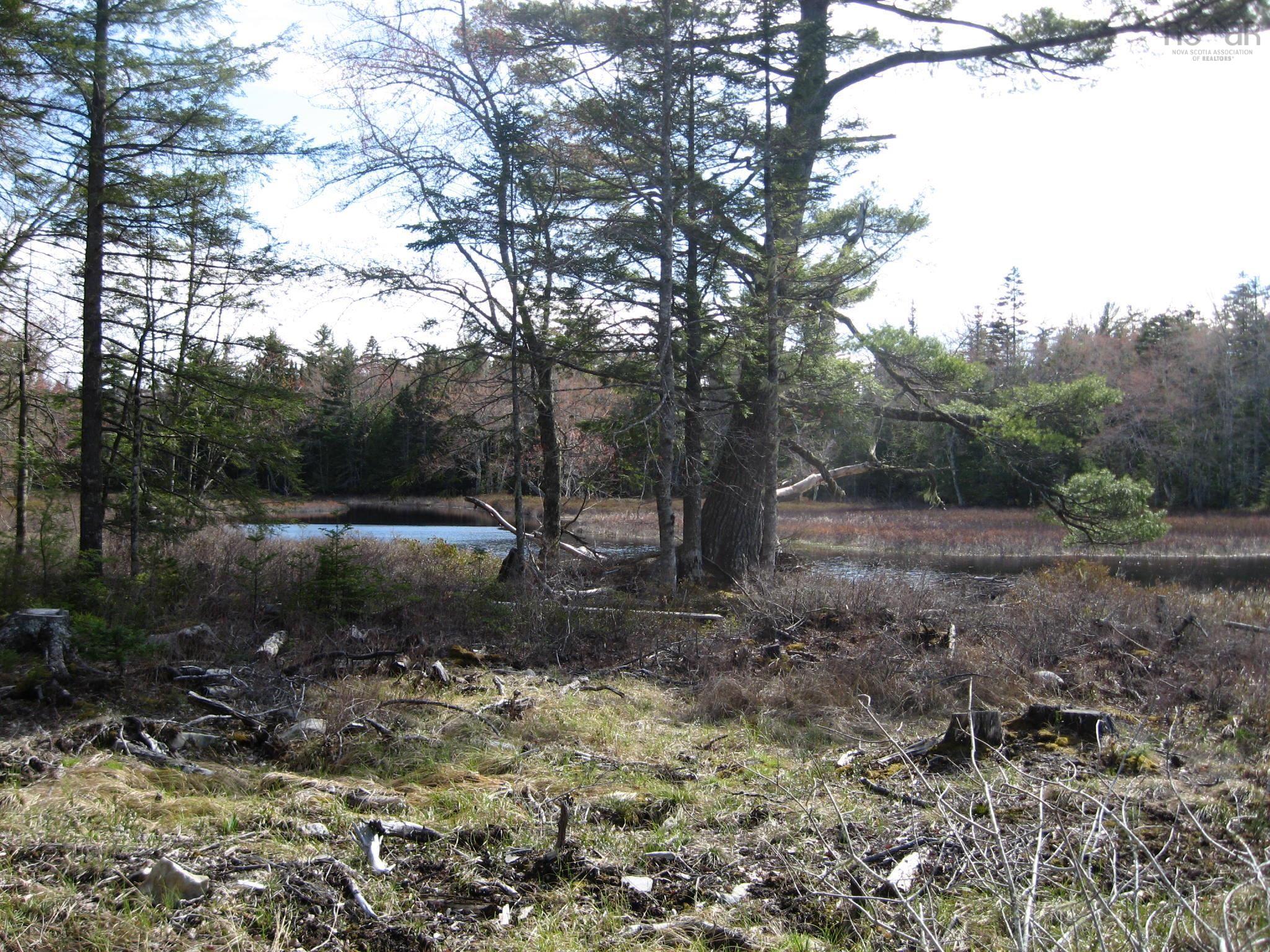 77 Bear Cove Road, Greenfield, NS (MLS® 202609692)