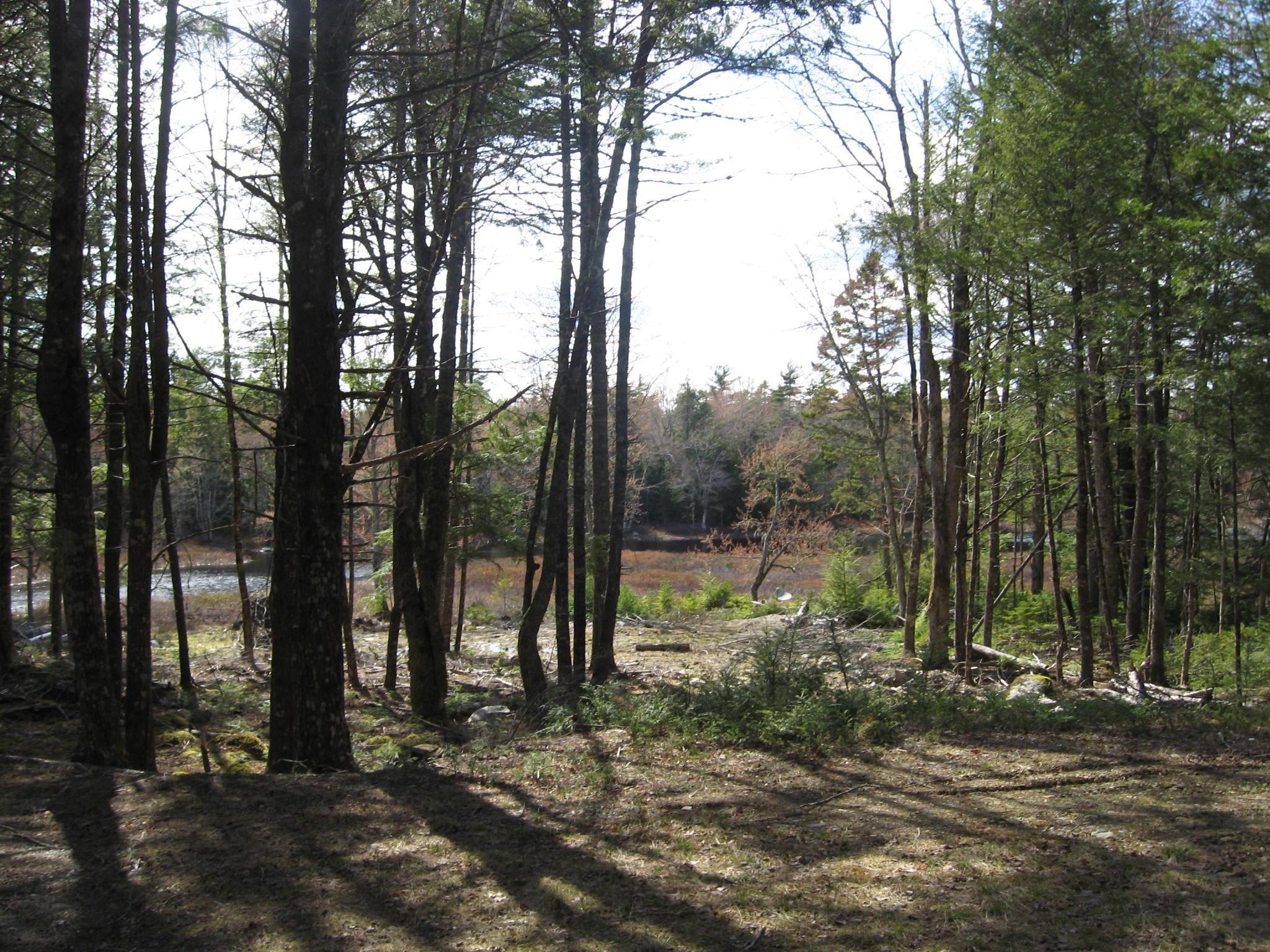 $69,900.00: 77 Bear Cove Road, Greenfield