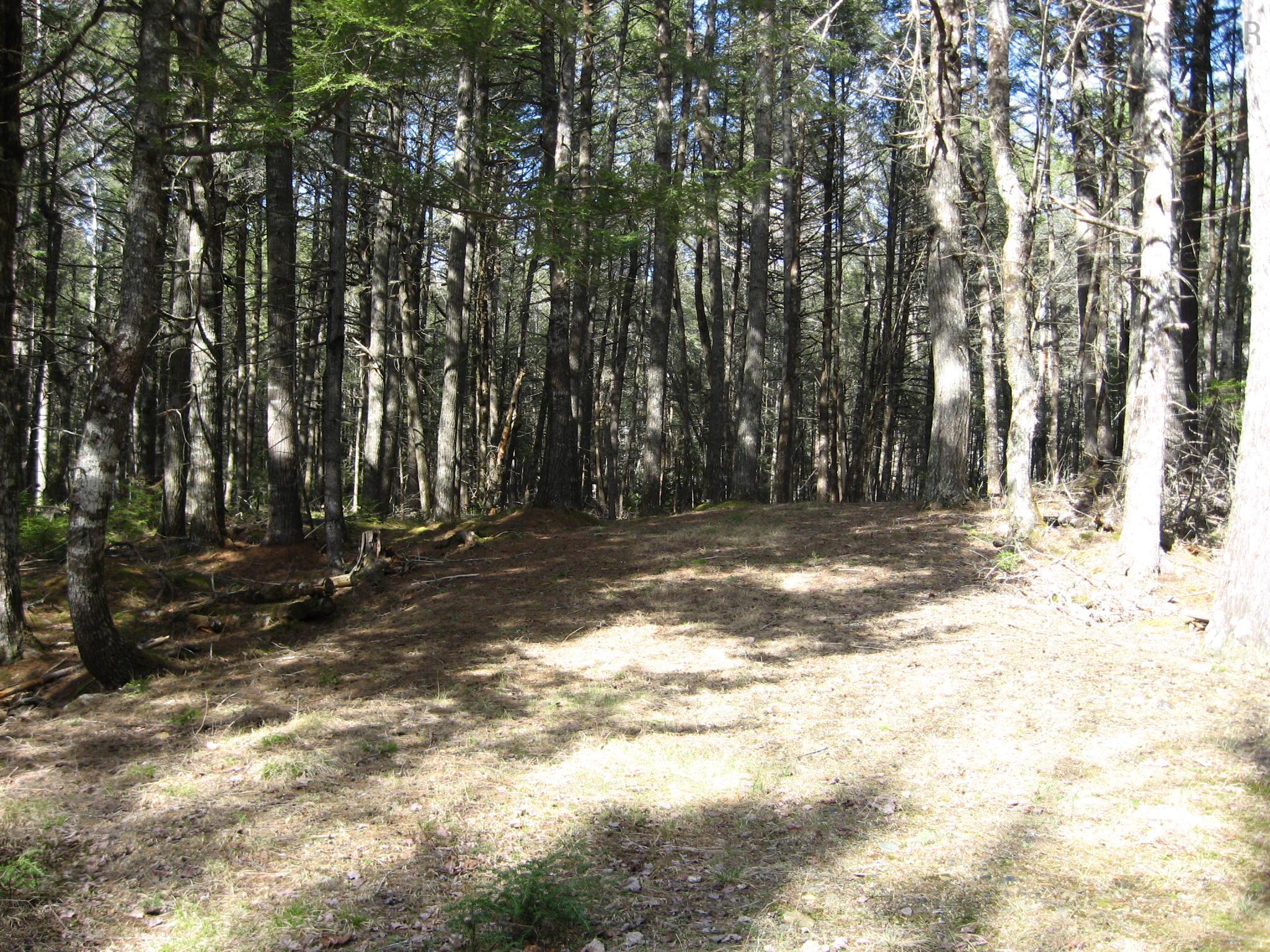 $69,900.00: 77 Bear Cove Road, Greenfield