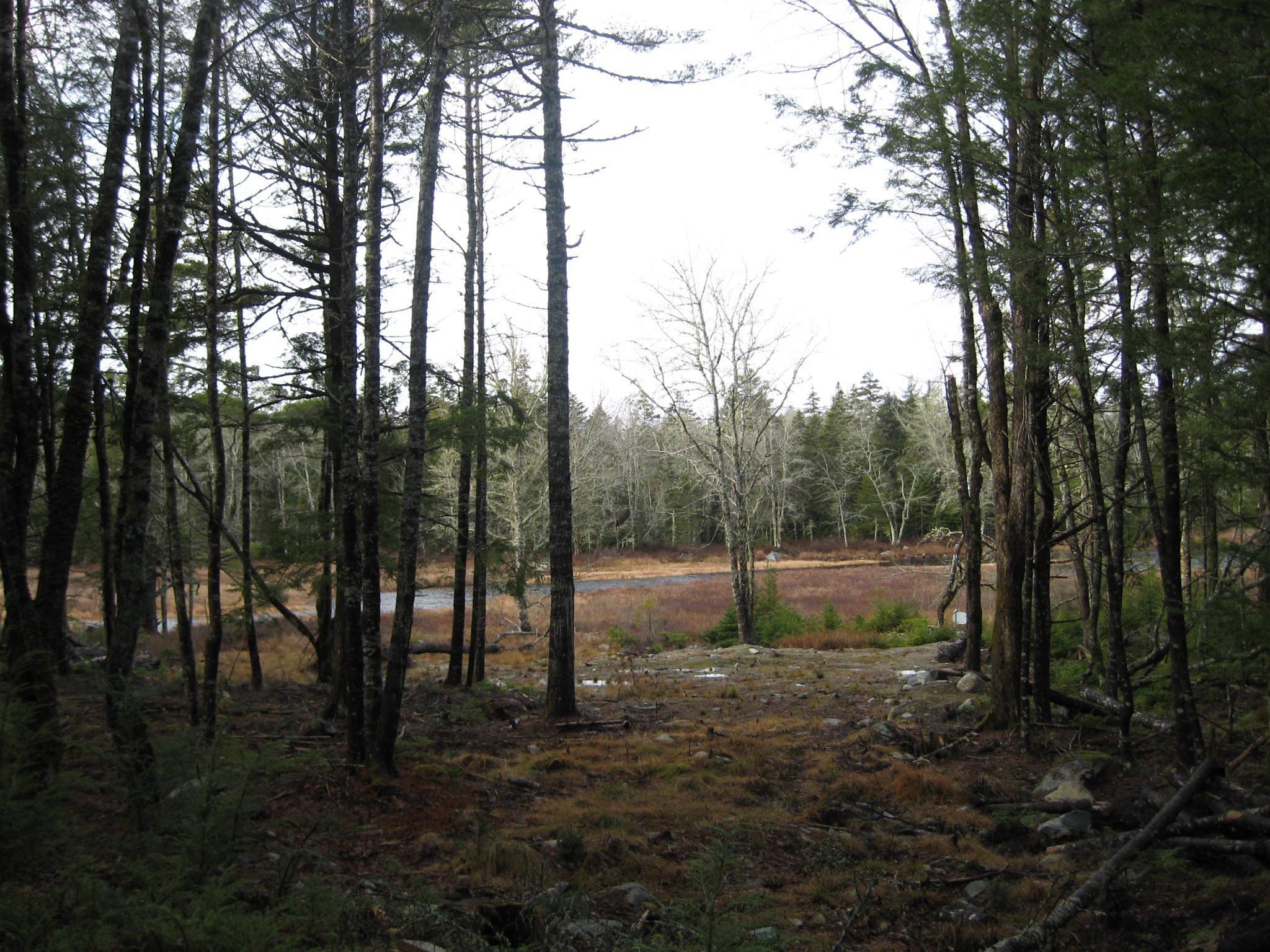 $69,900.00: 77 Bear Cove Road, Greenfield