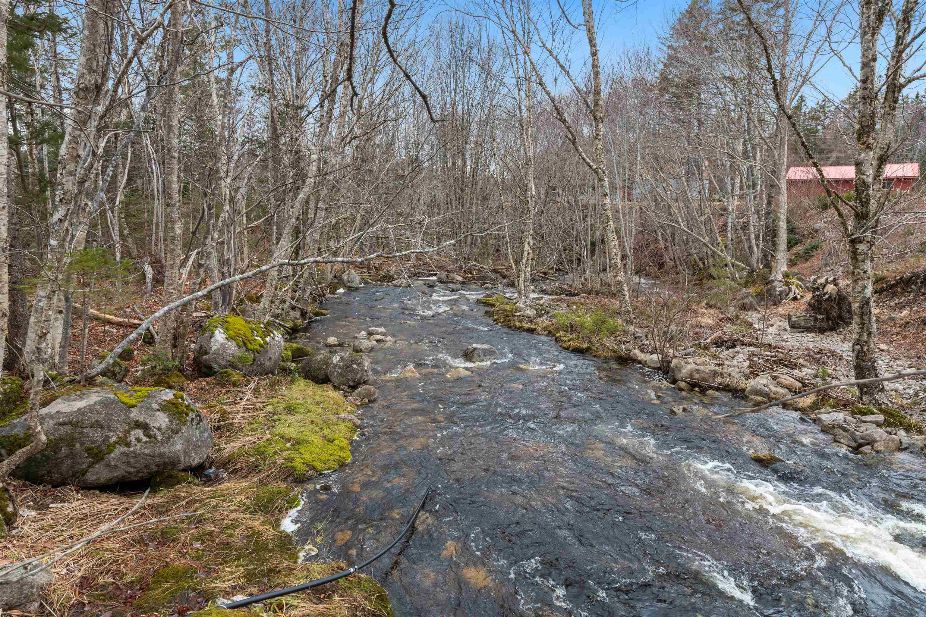 $439,900.00: 16236 Highway 316, Country Harbour Mines
