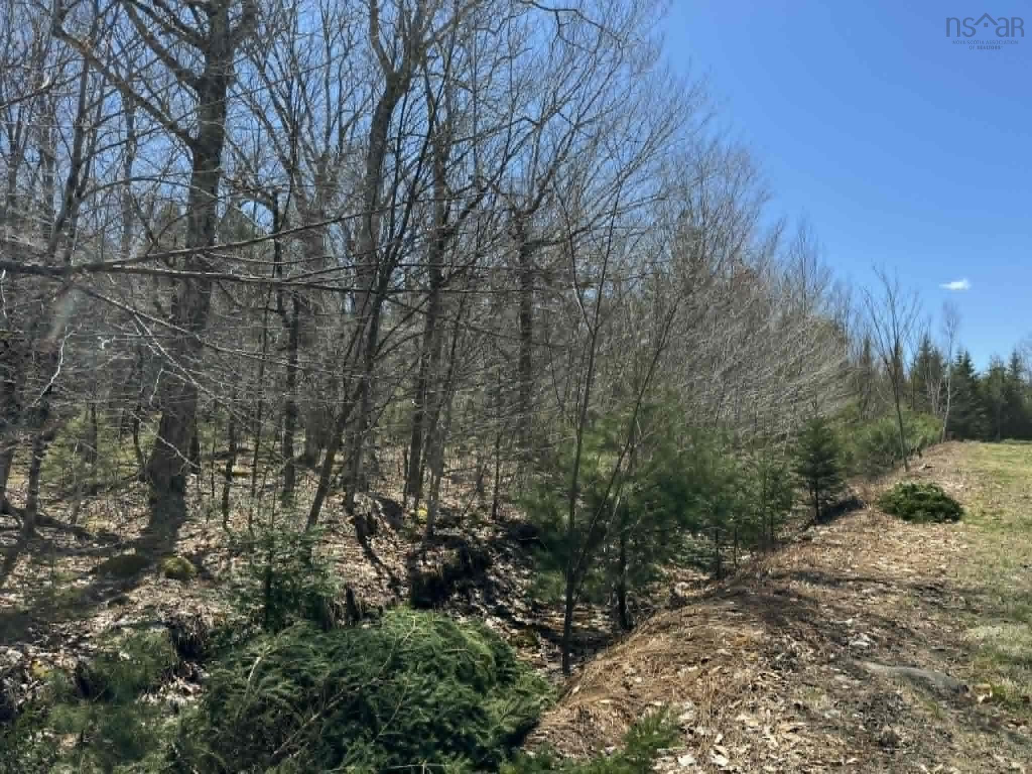 $43,500.00: Lot R-9 Kill Dog Cove Road, Parkdale