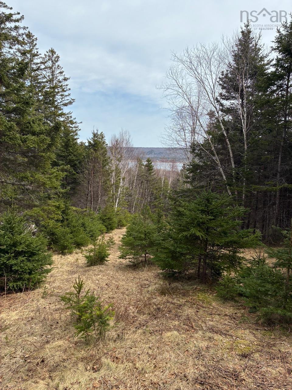 $195,000.00: Eskasoni Road, Northside East Bay